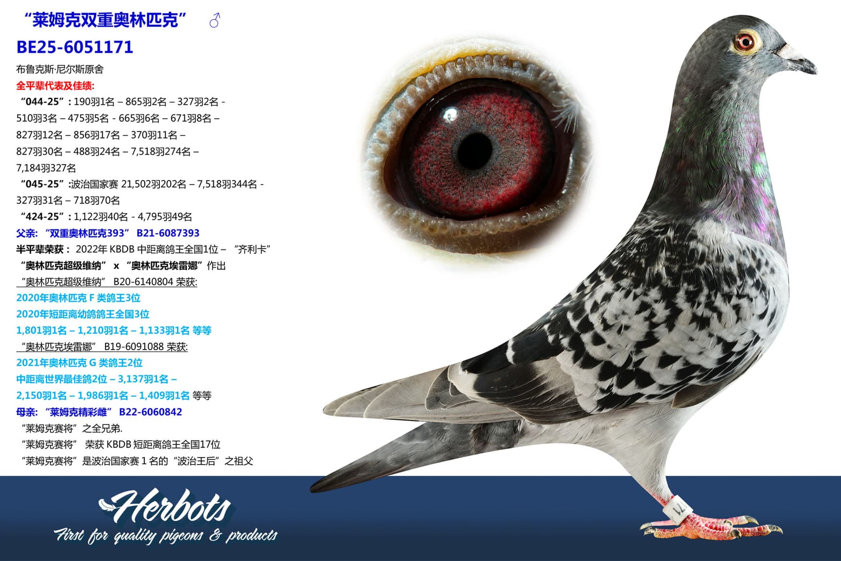 pigeon: undefined