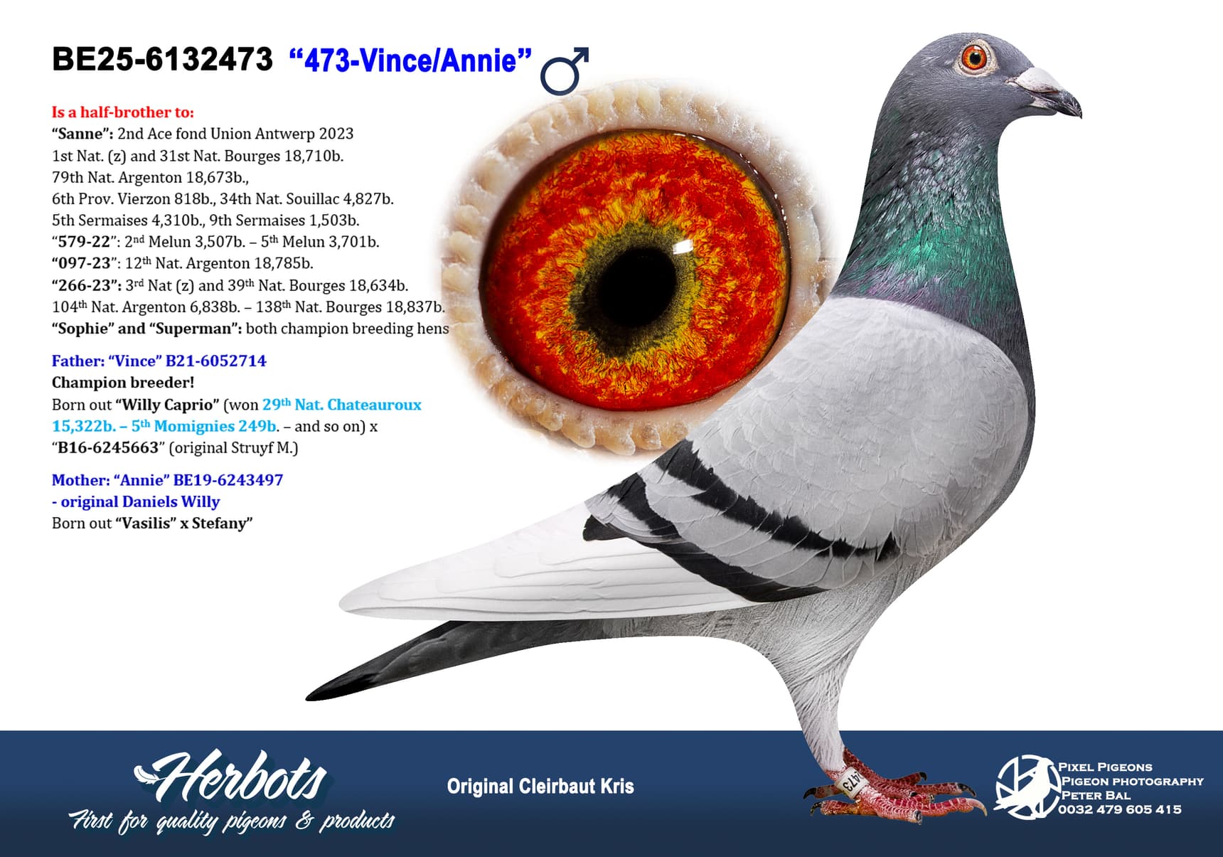 pigeon: undefined