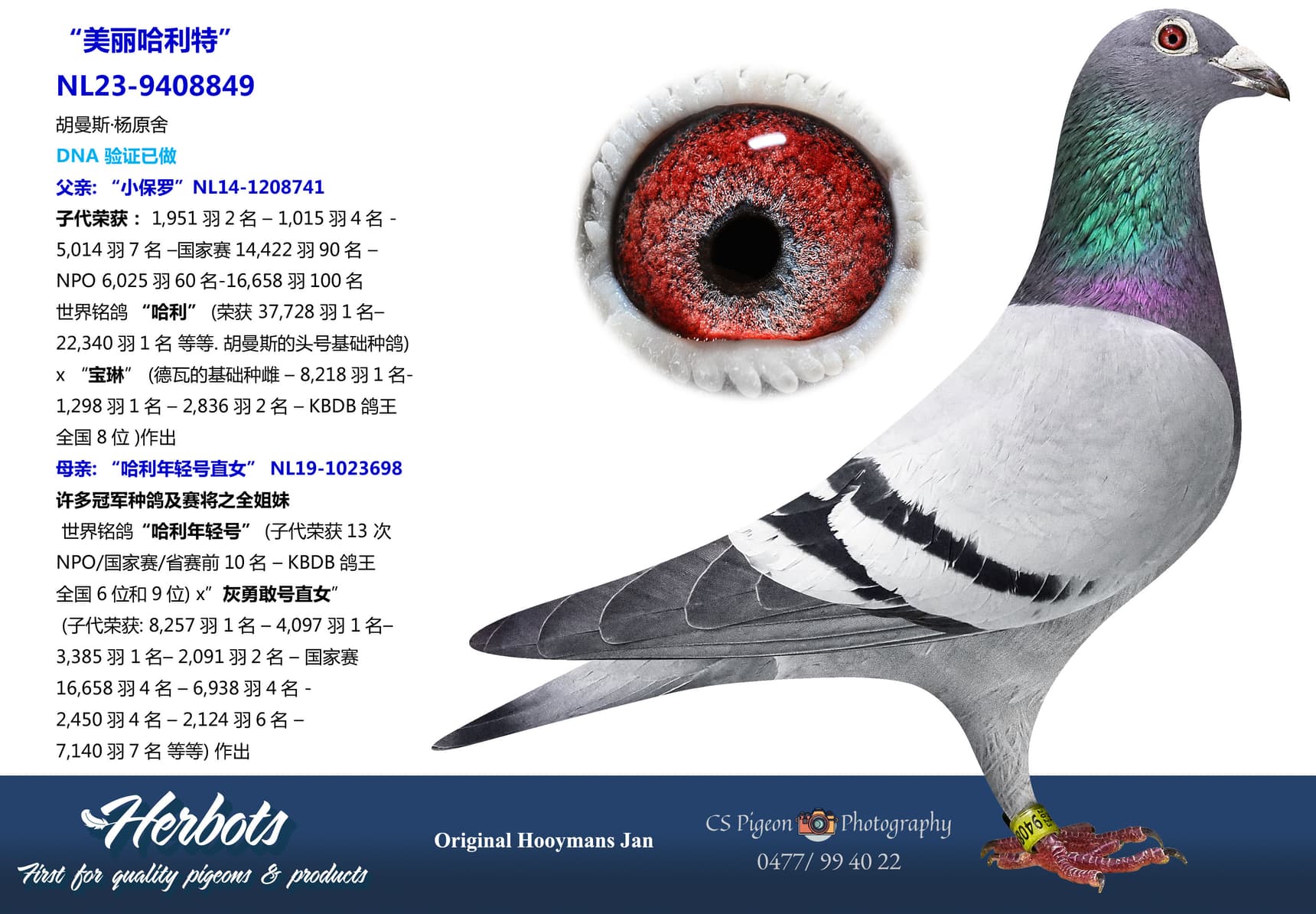 pigeon: undefined