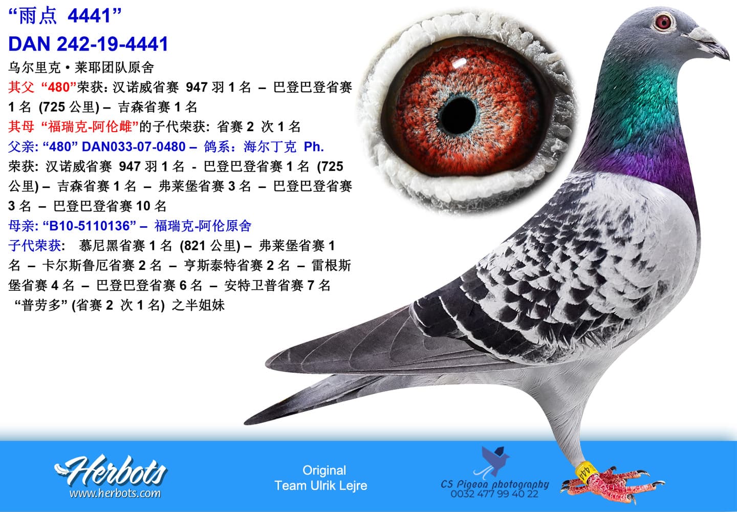 pigeon: undefined