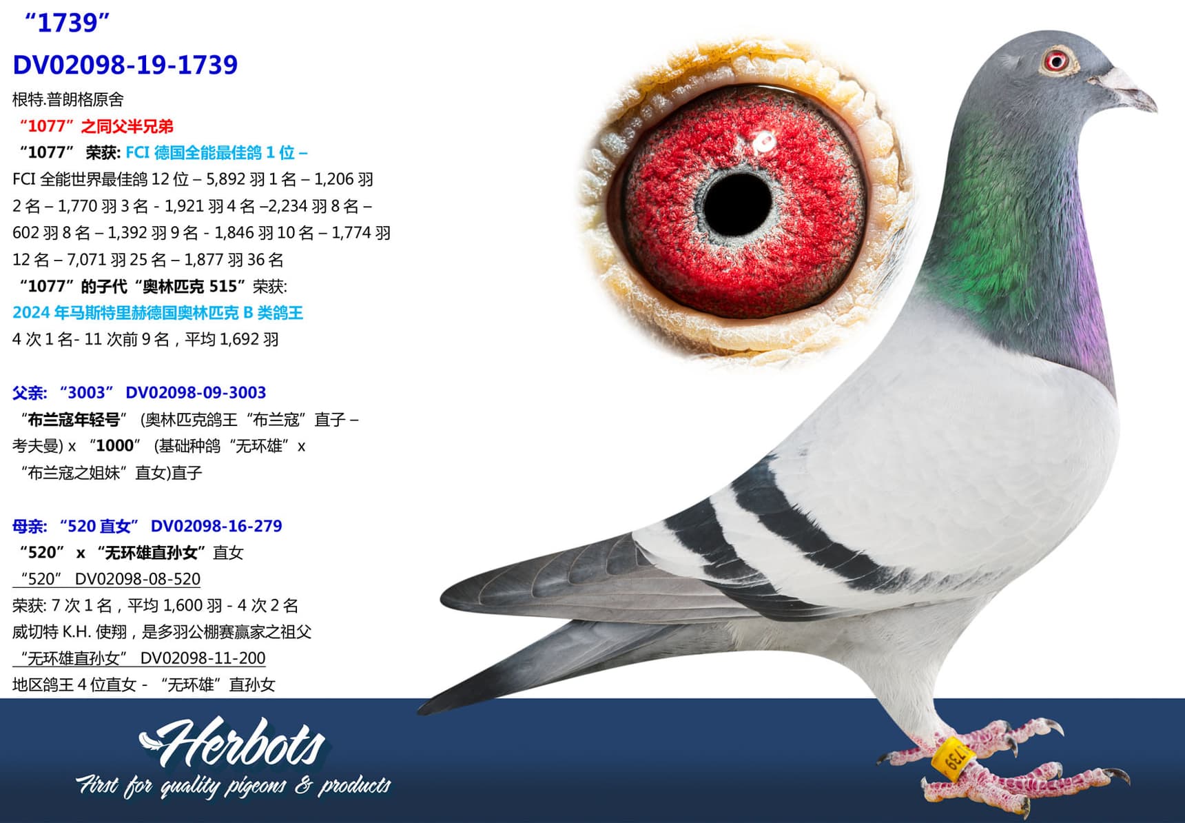 pigeon: undefined