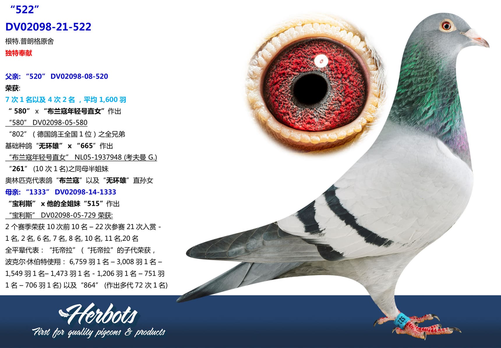 pigeon: undefined