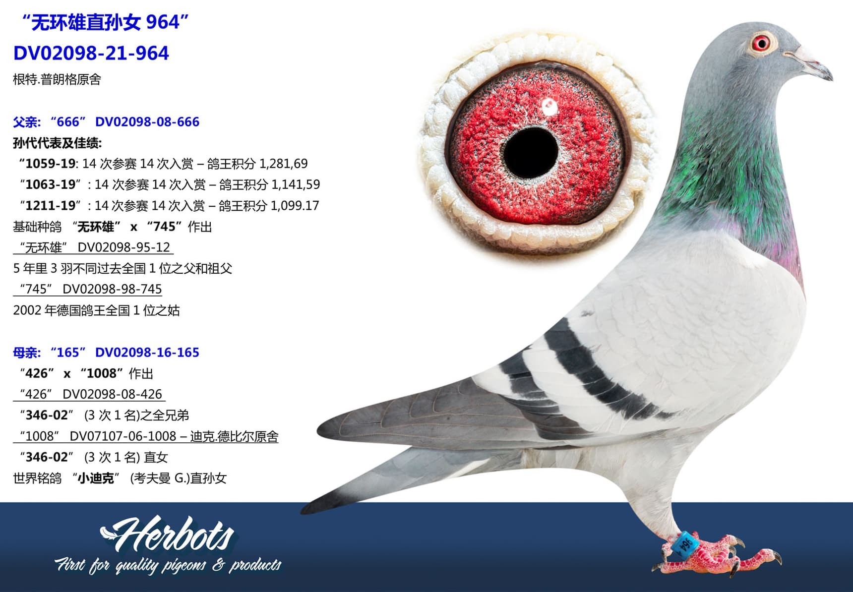pigeon: undefined