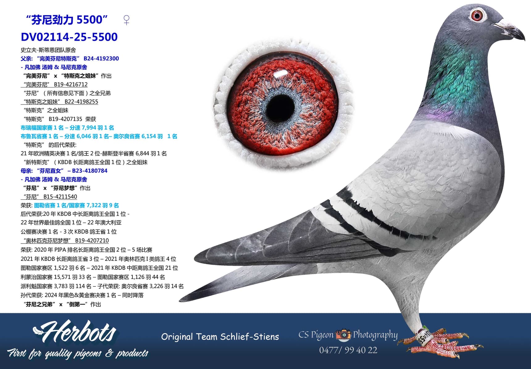 pigeon: undefined