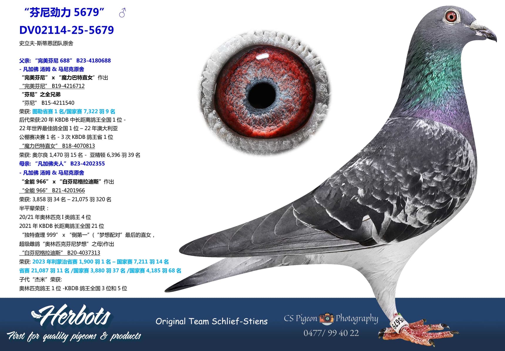 pigeon: undefined