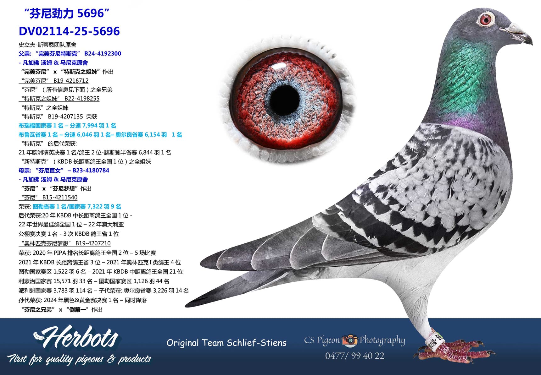 pigeon: undefined
