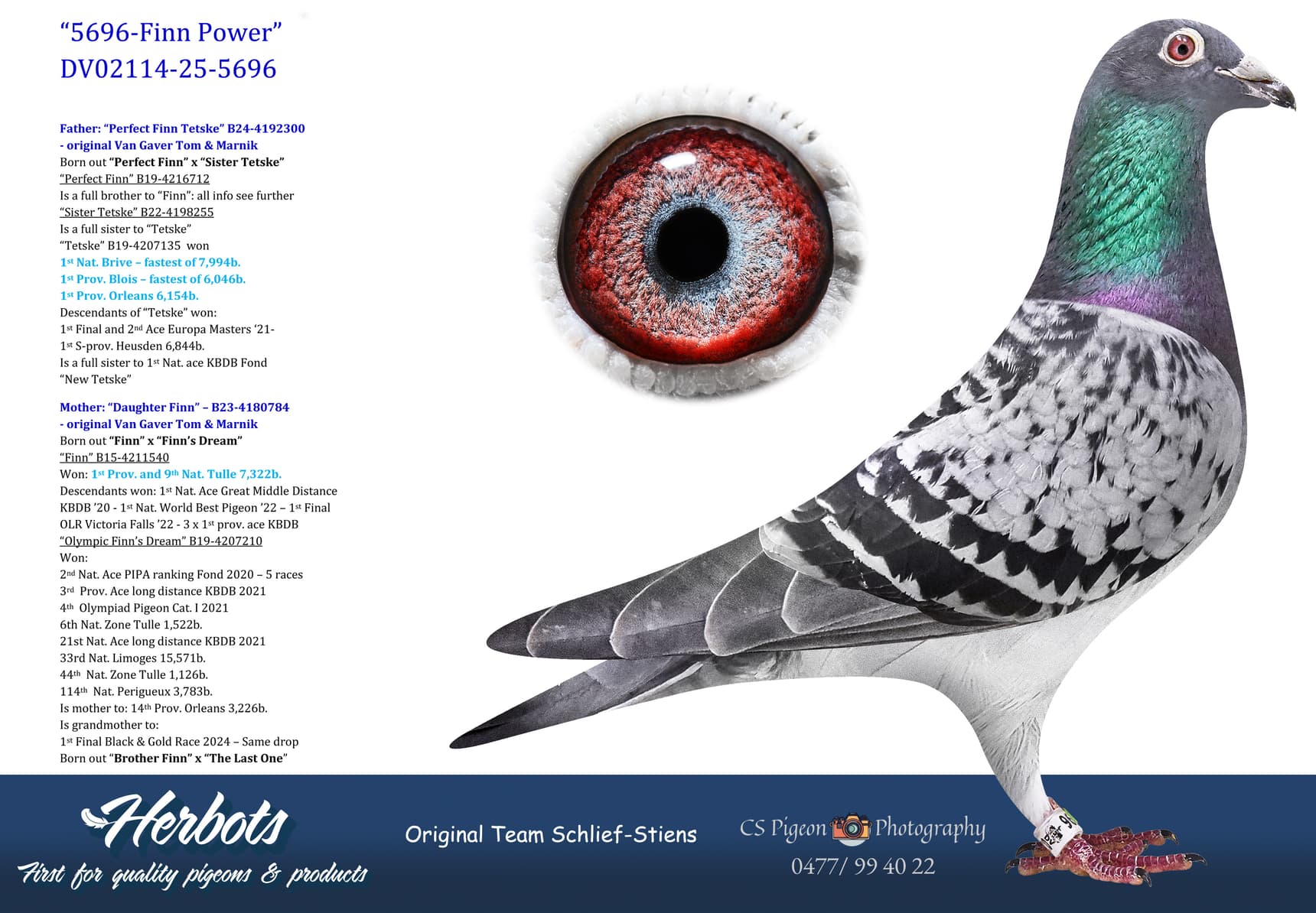 pigeon: undefined