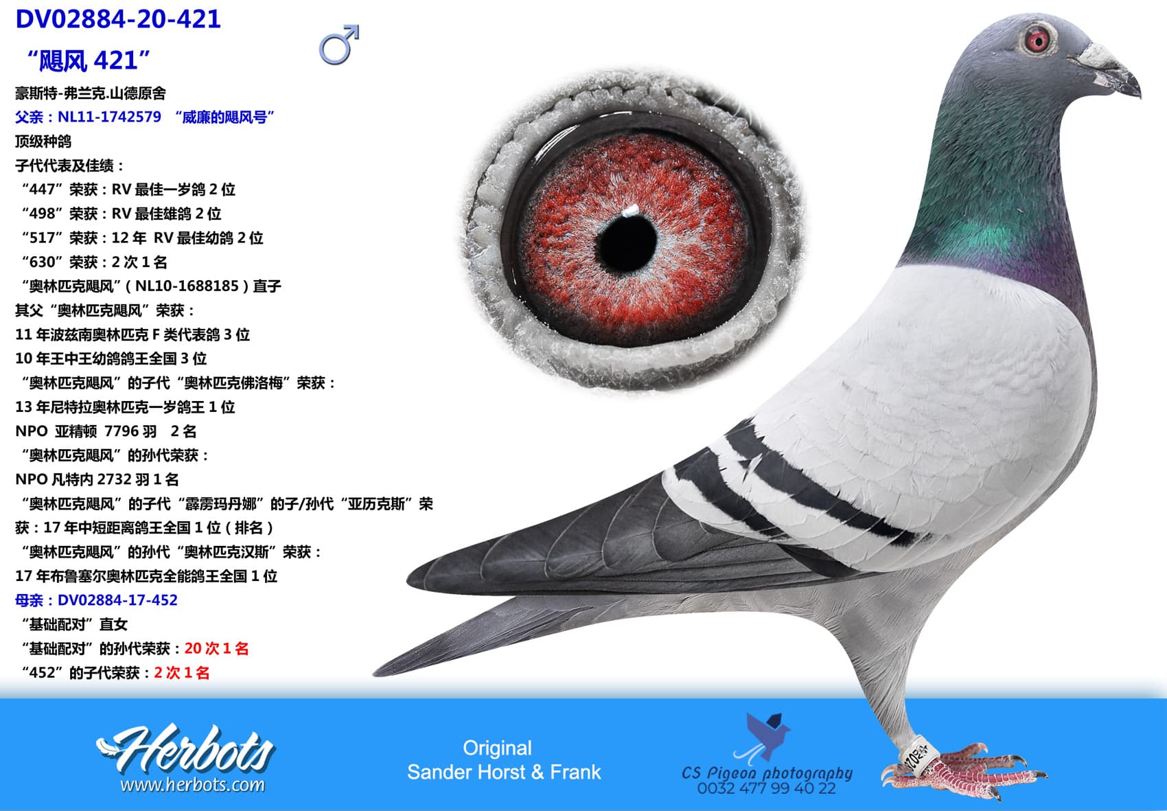 pigeon: undefined