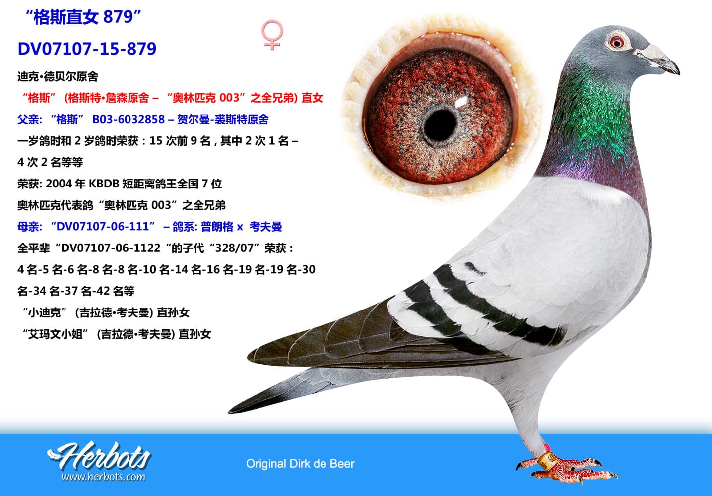 pigeon: undefined