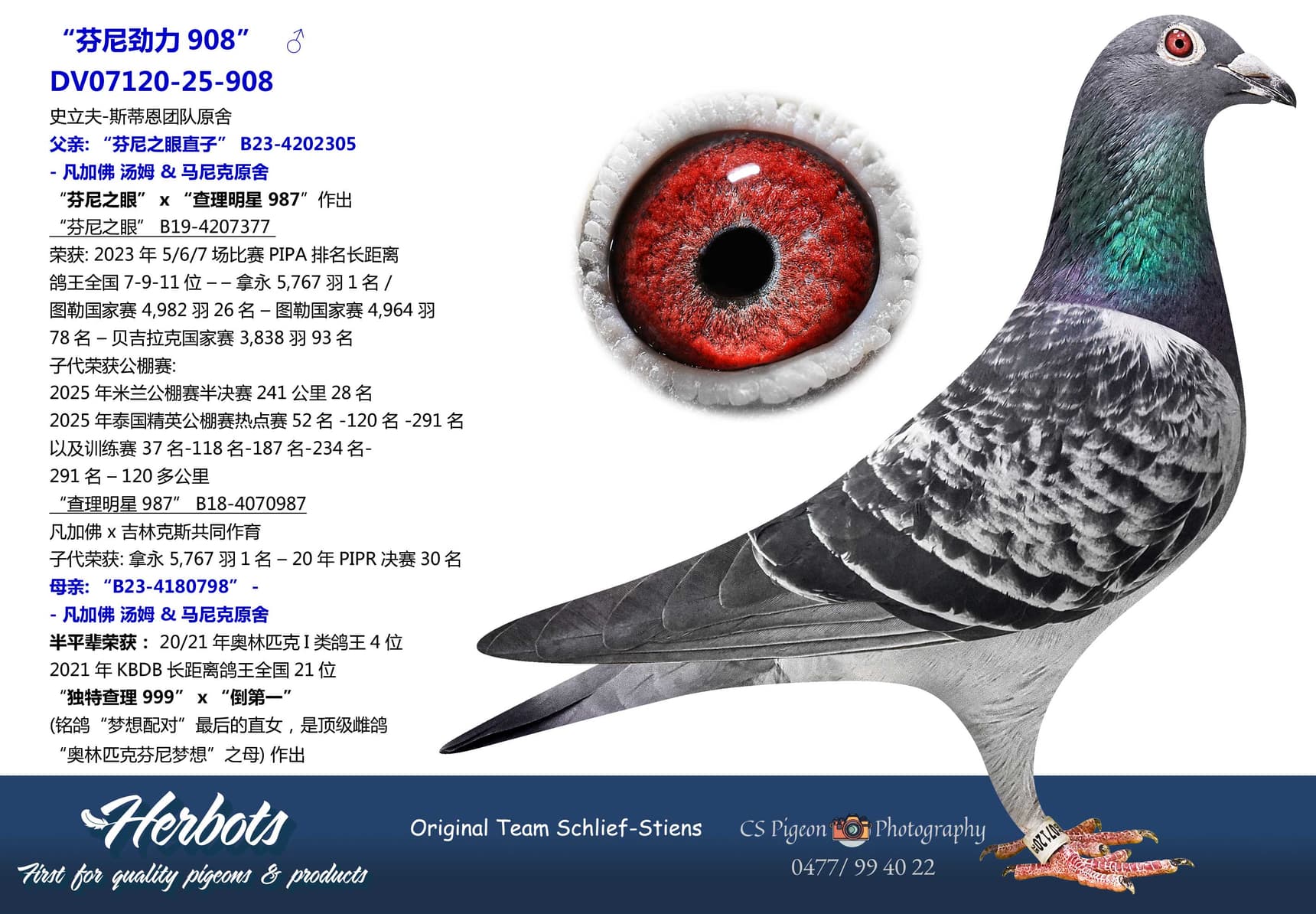 pigeon: undefined