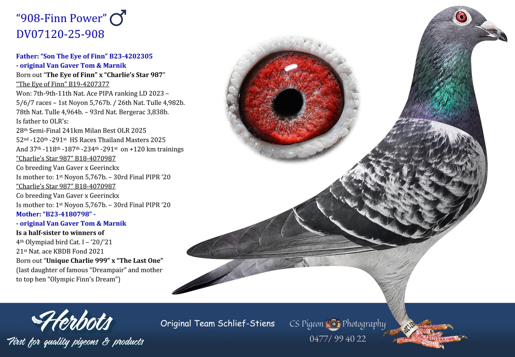 pigeon: undefined