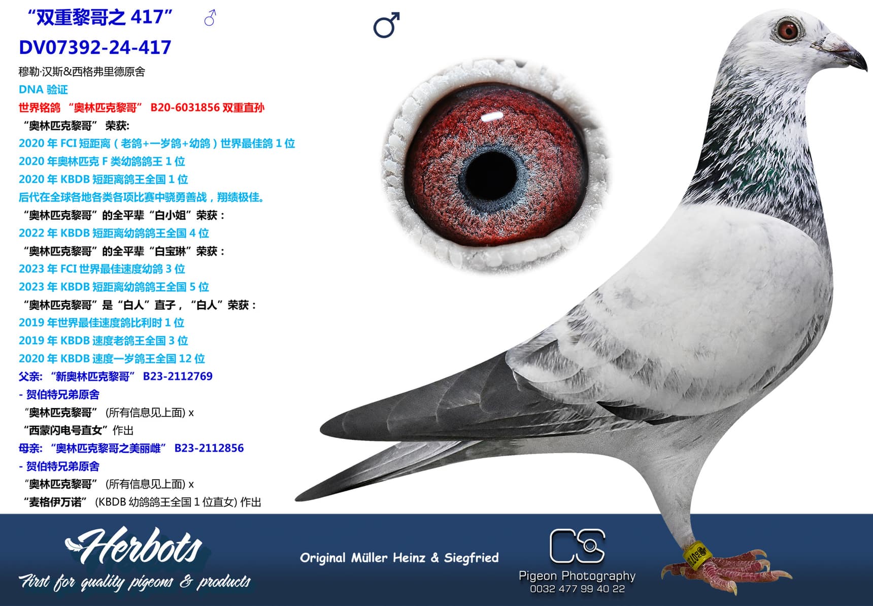 pigeon: undefined
