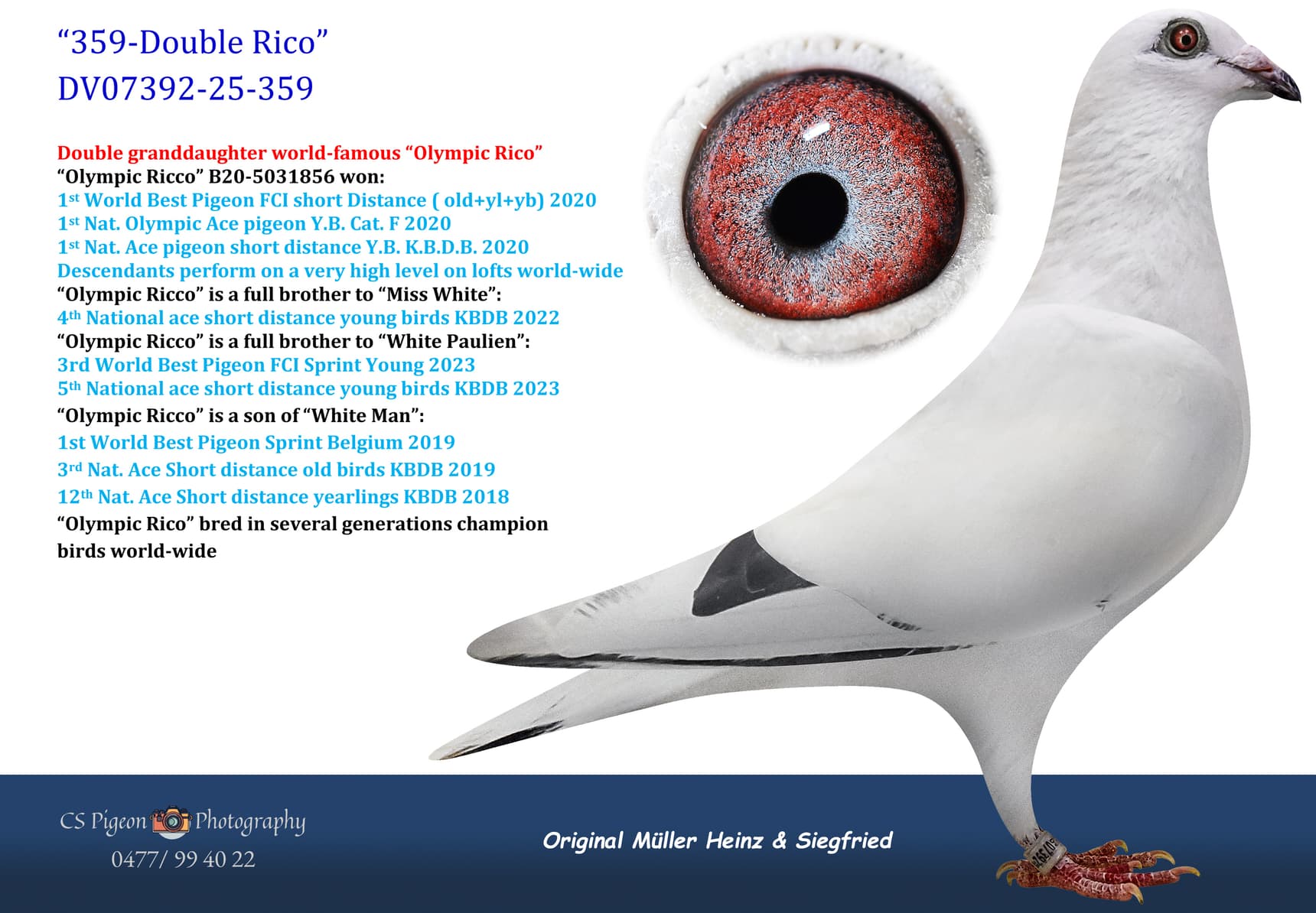 pigeon: undefined