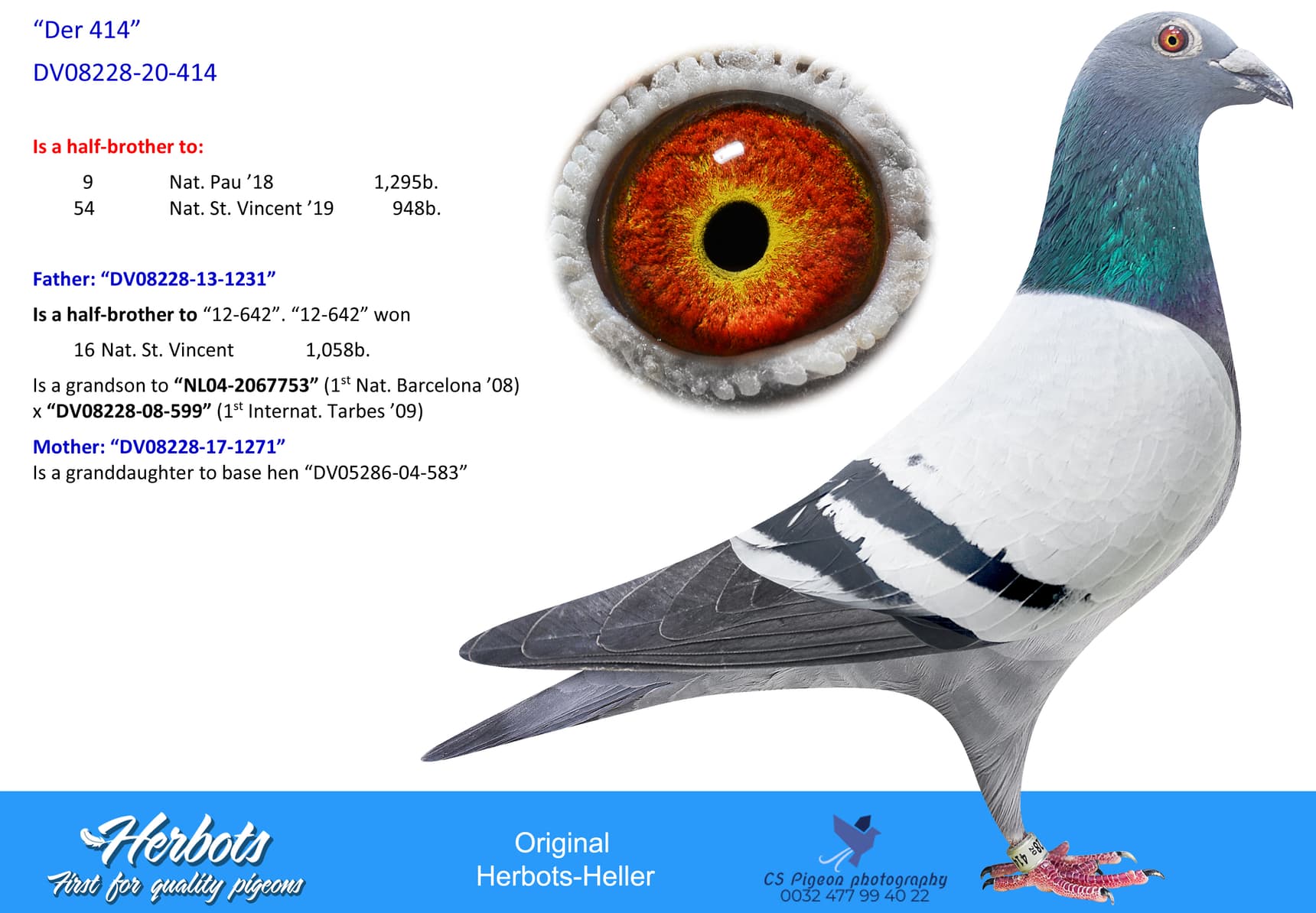 pigeon: undefined