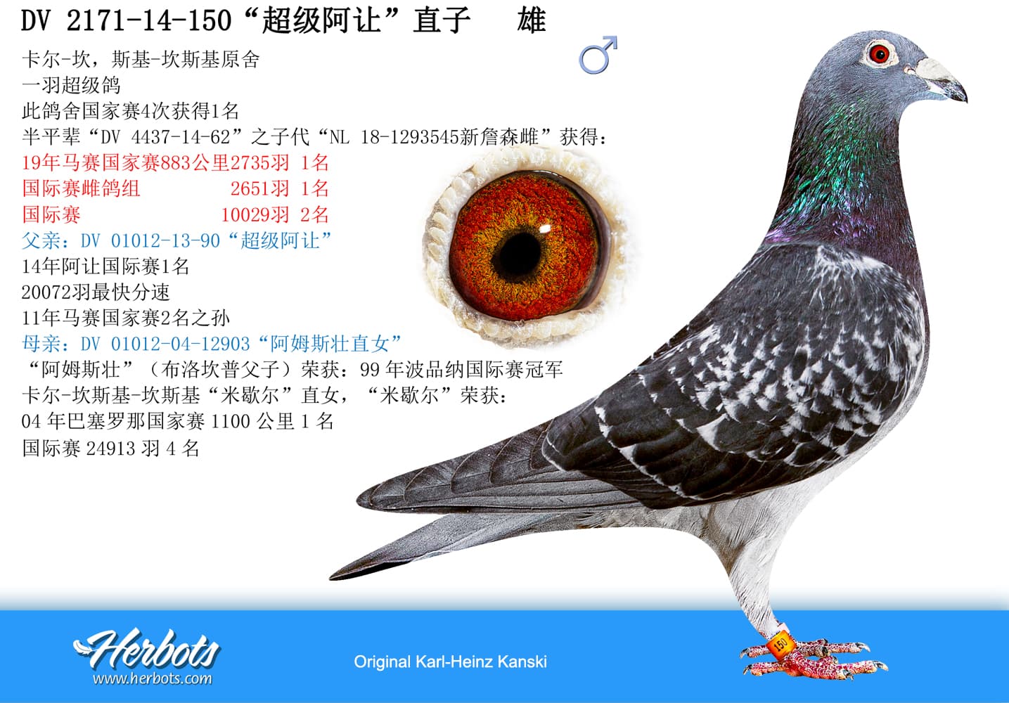 pigeon: undefined