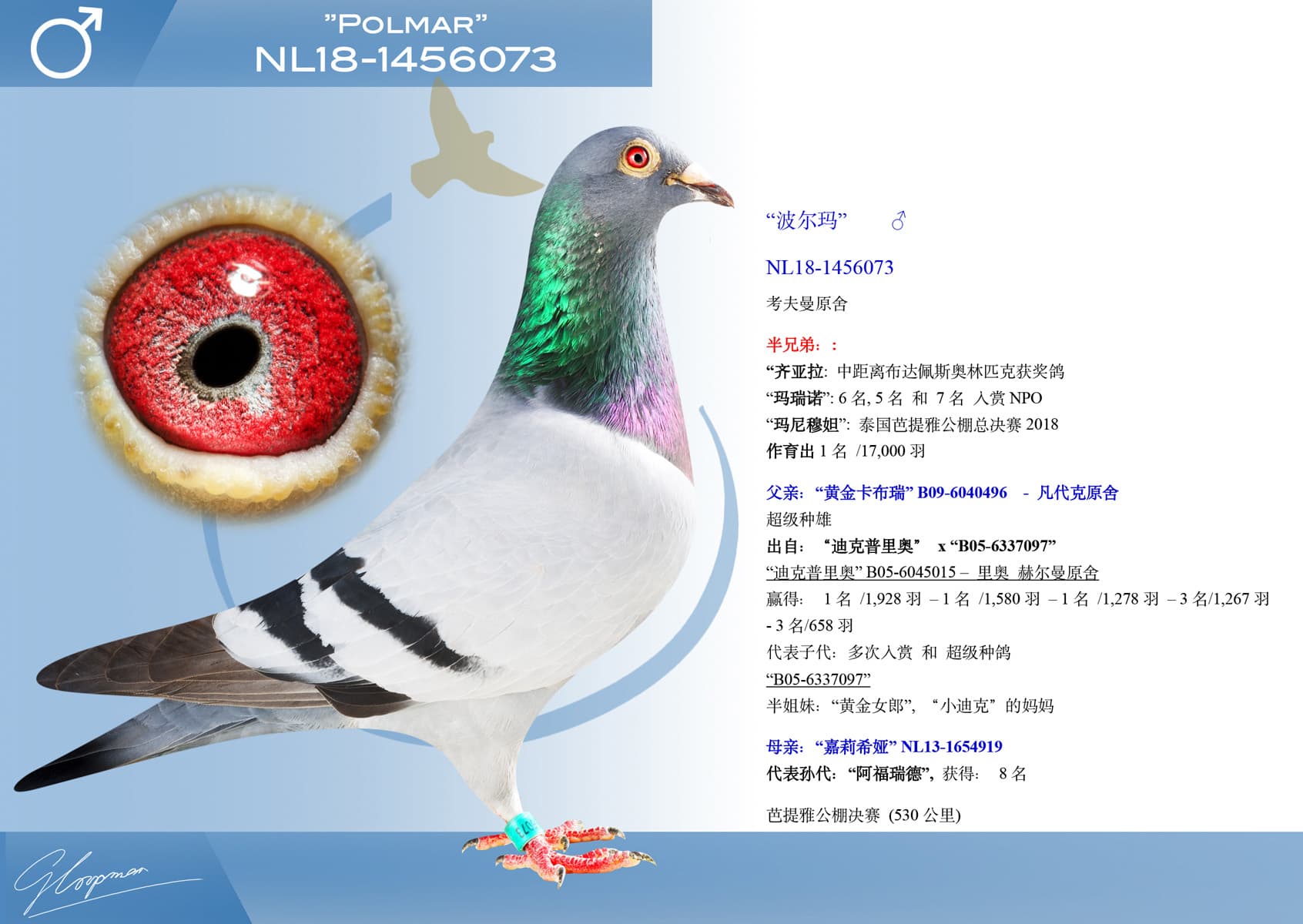 pigeon: undefined