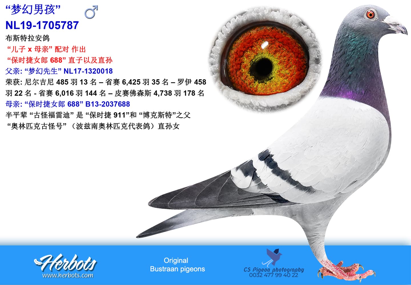 pigeon: undefined