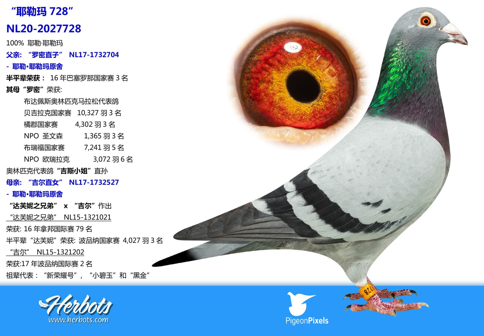 pigeon: undefined