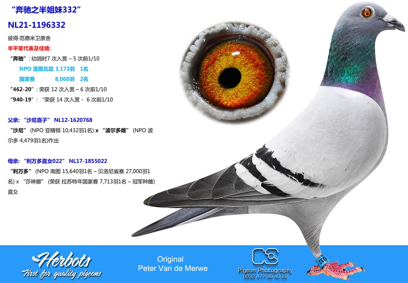 pigeon: undefined