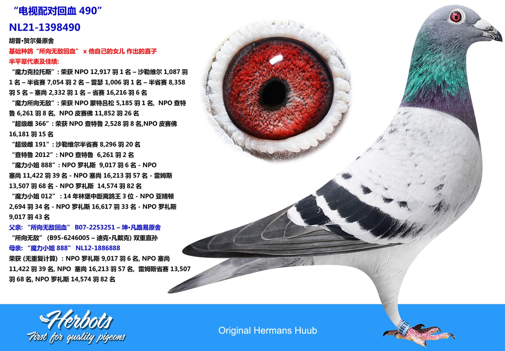 pigeon: undefined