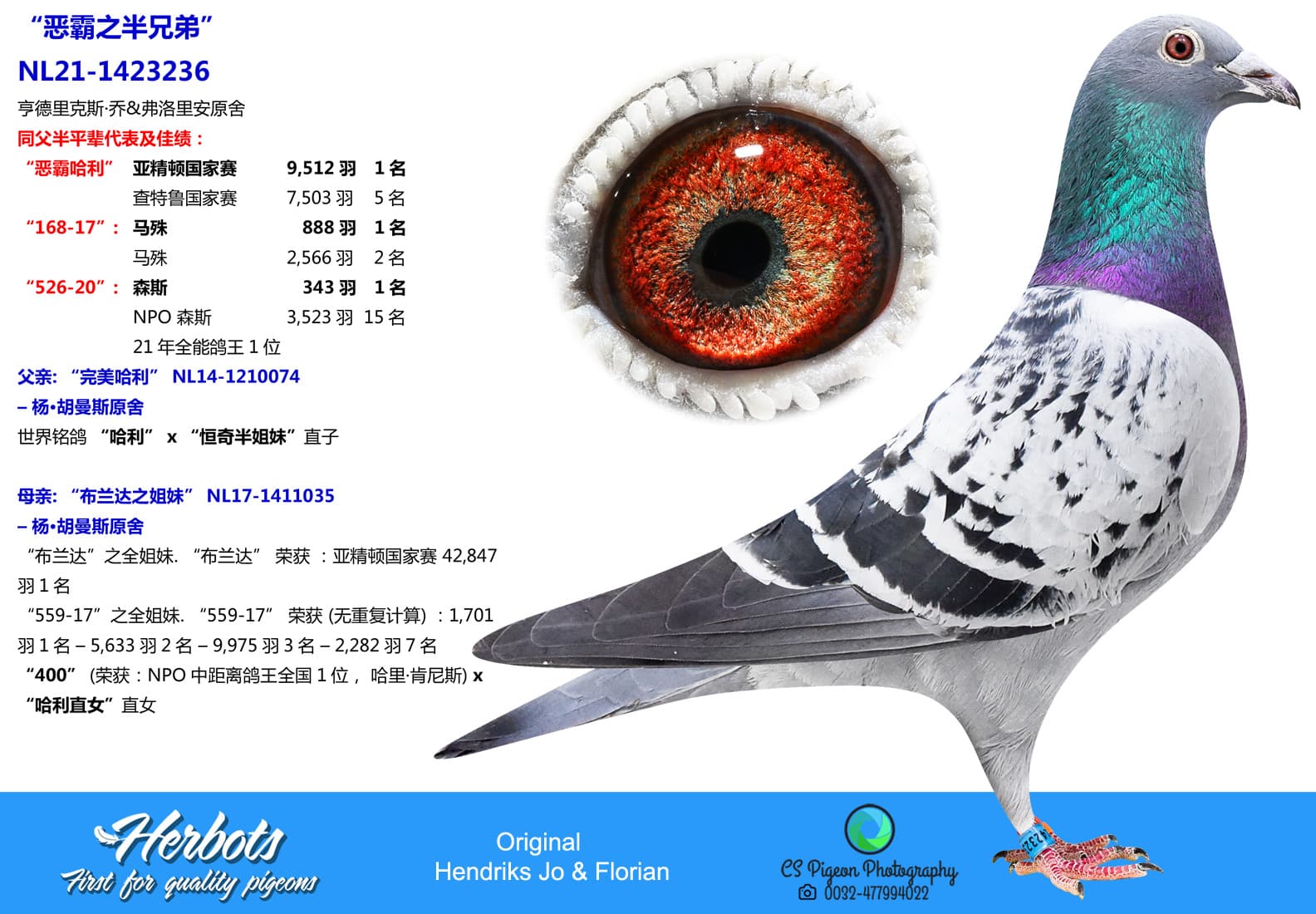 pigeon: undefined