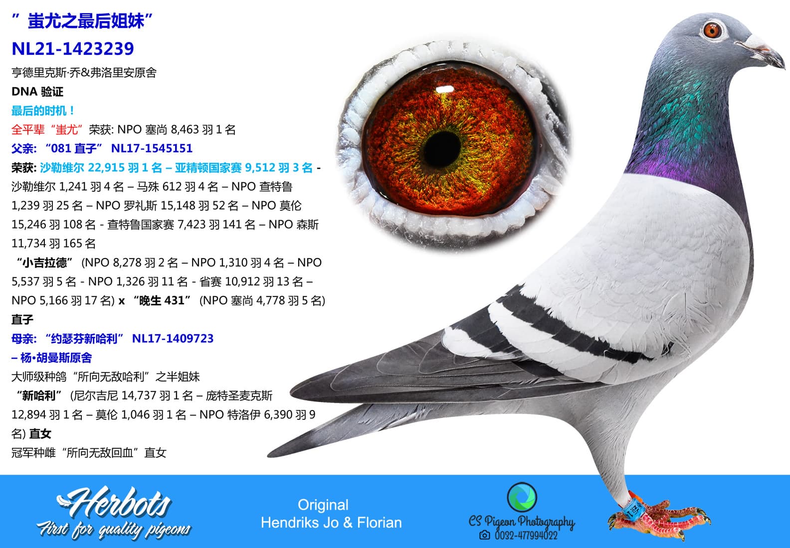 pigeon: undefined