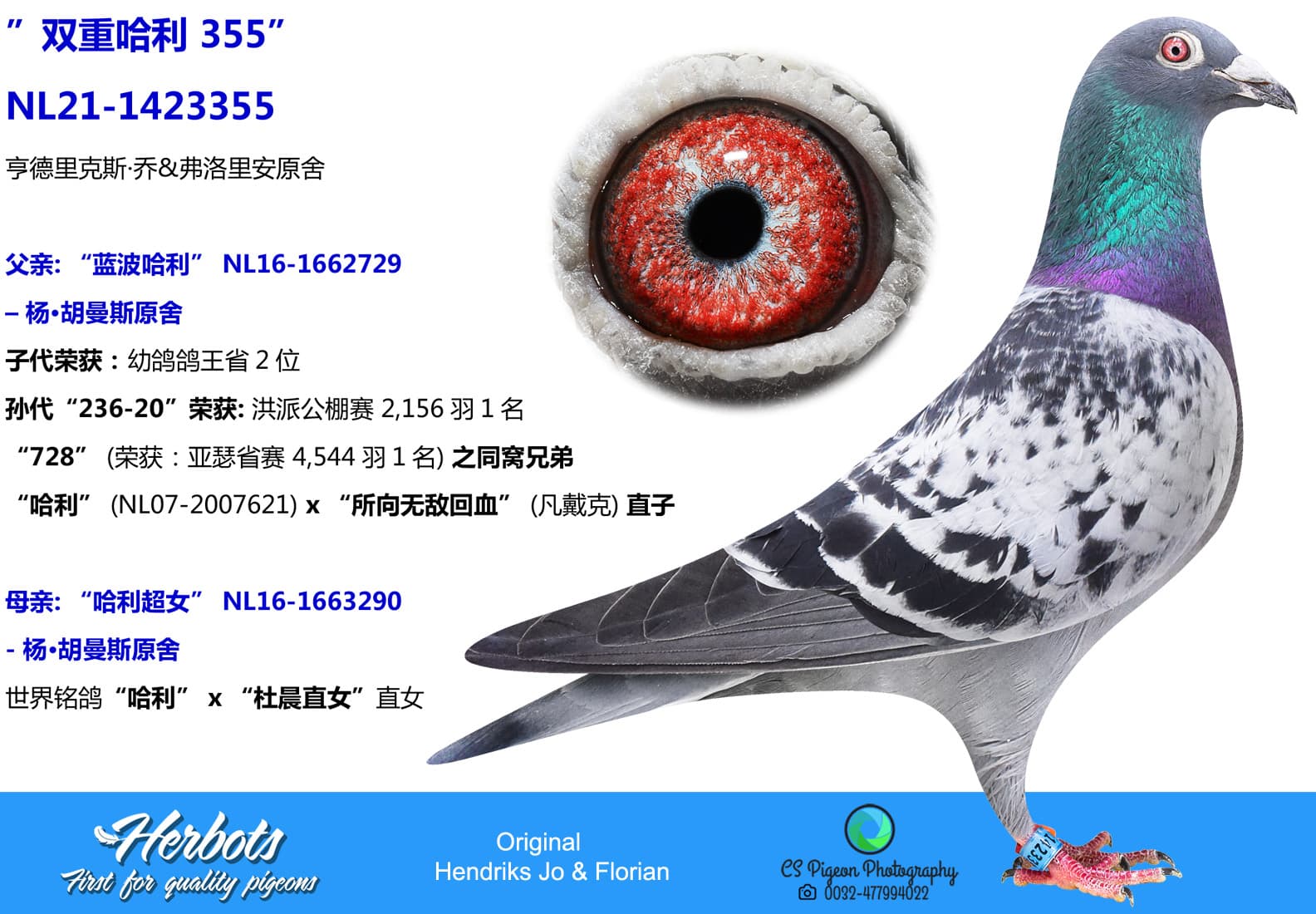 pigeon: undefined