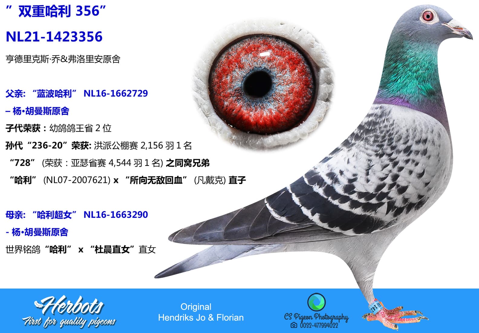 pigeon: undefined