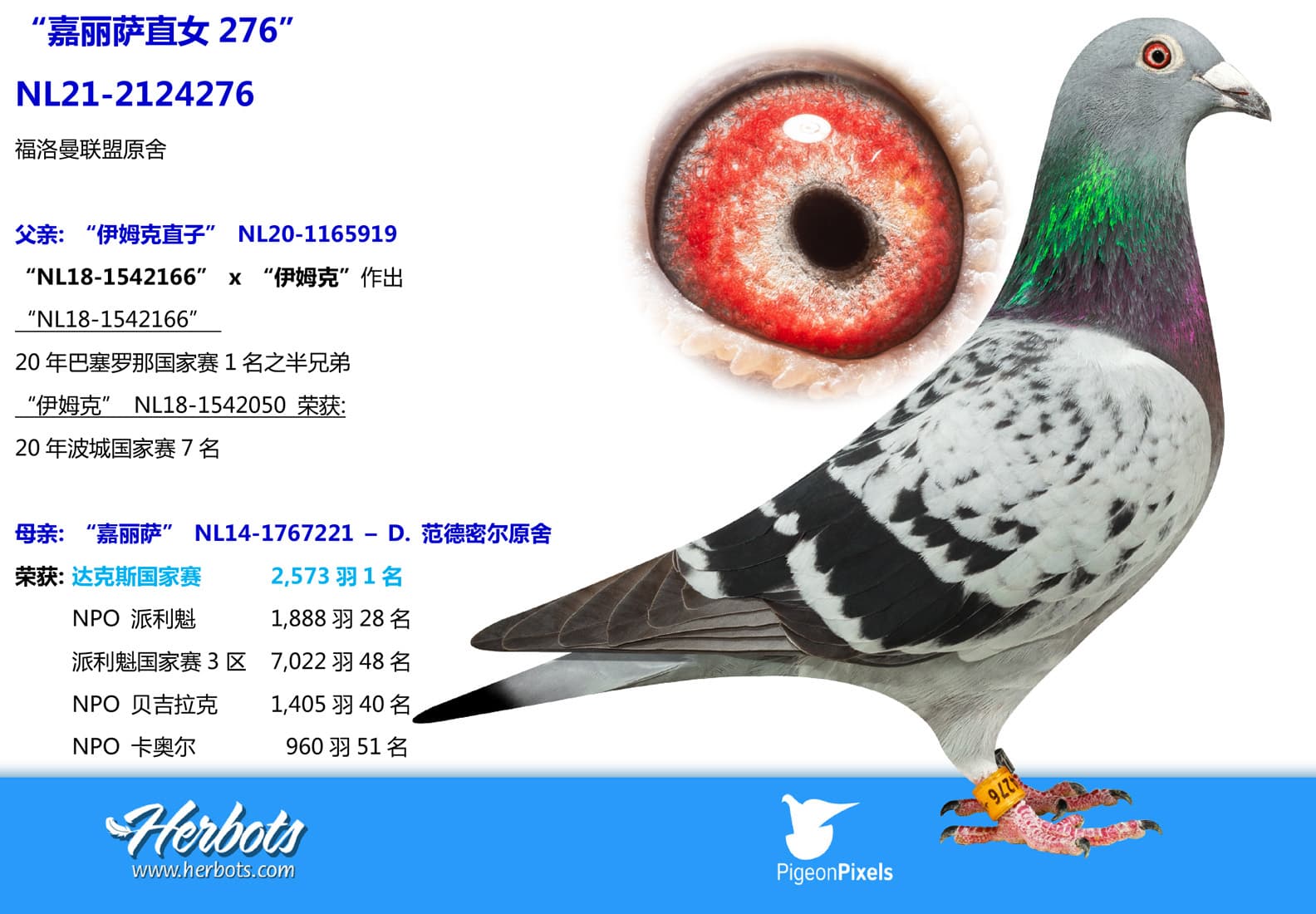 pigeon: undefined