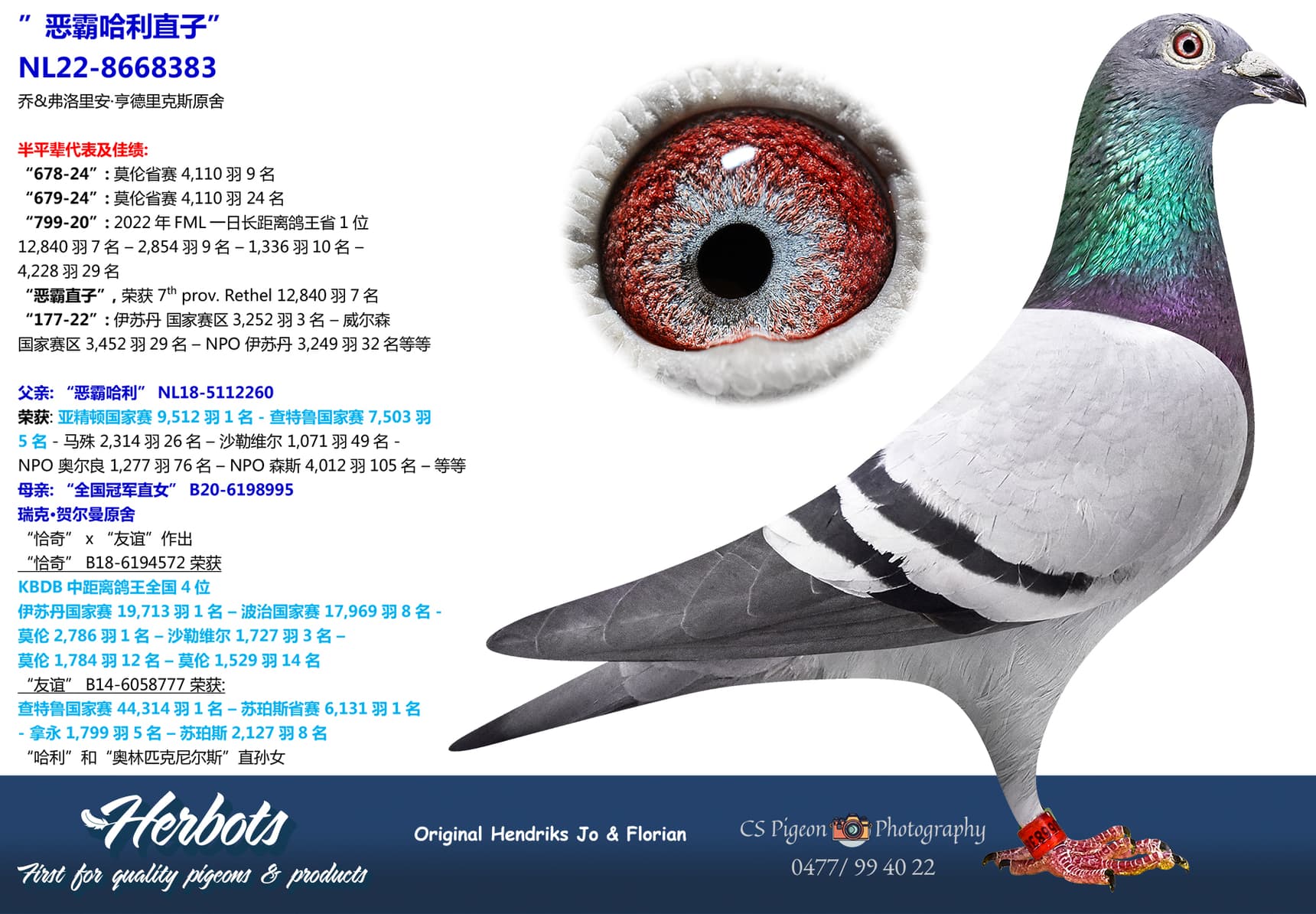 pigeon: undefined