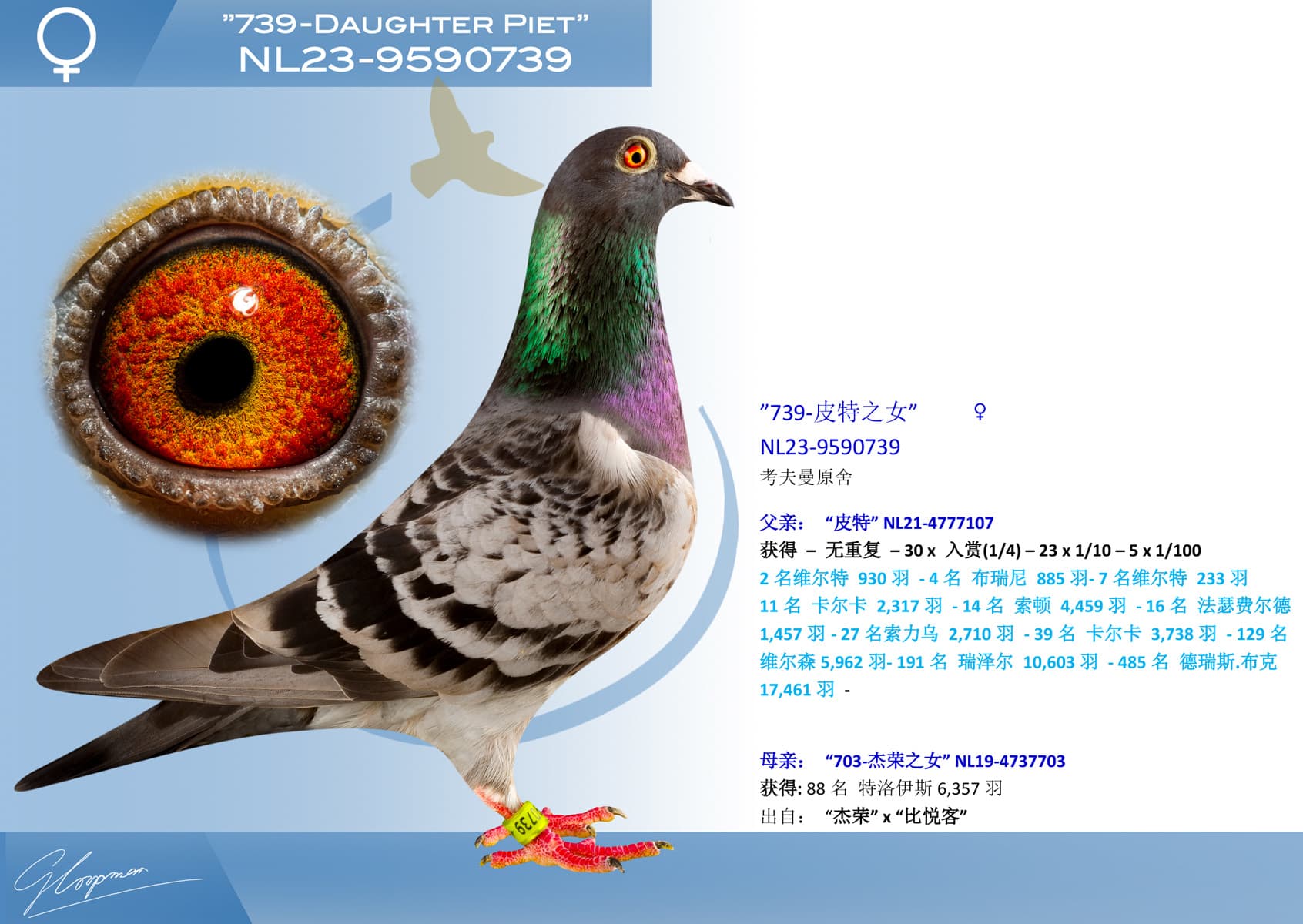 pigeon: undefined
