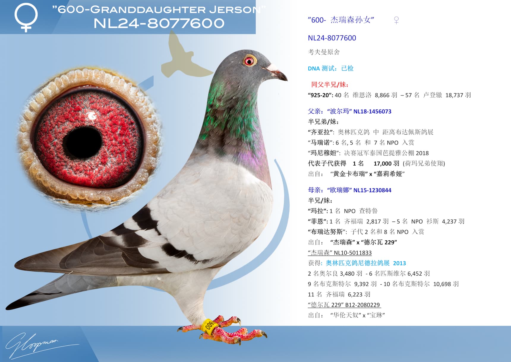 pigeon: undefined