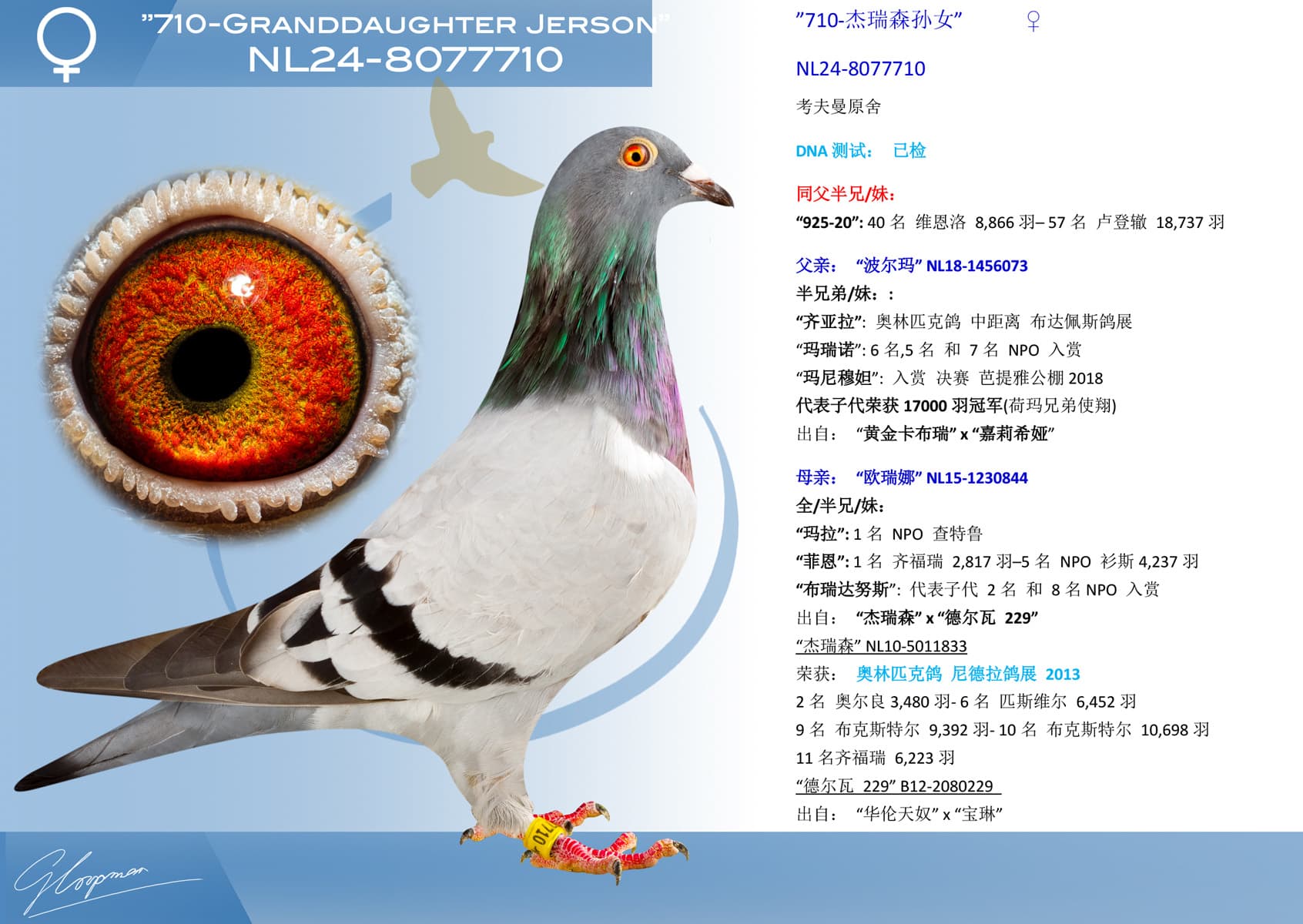 pigeon: undefined