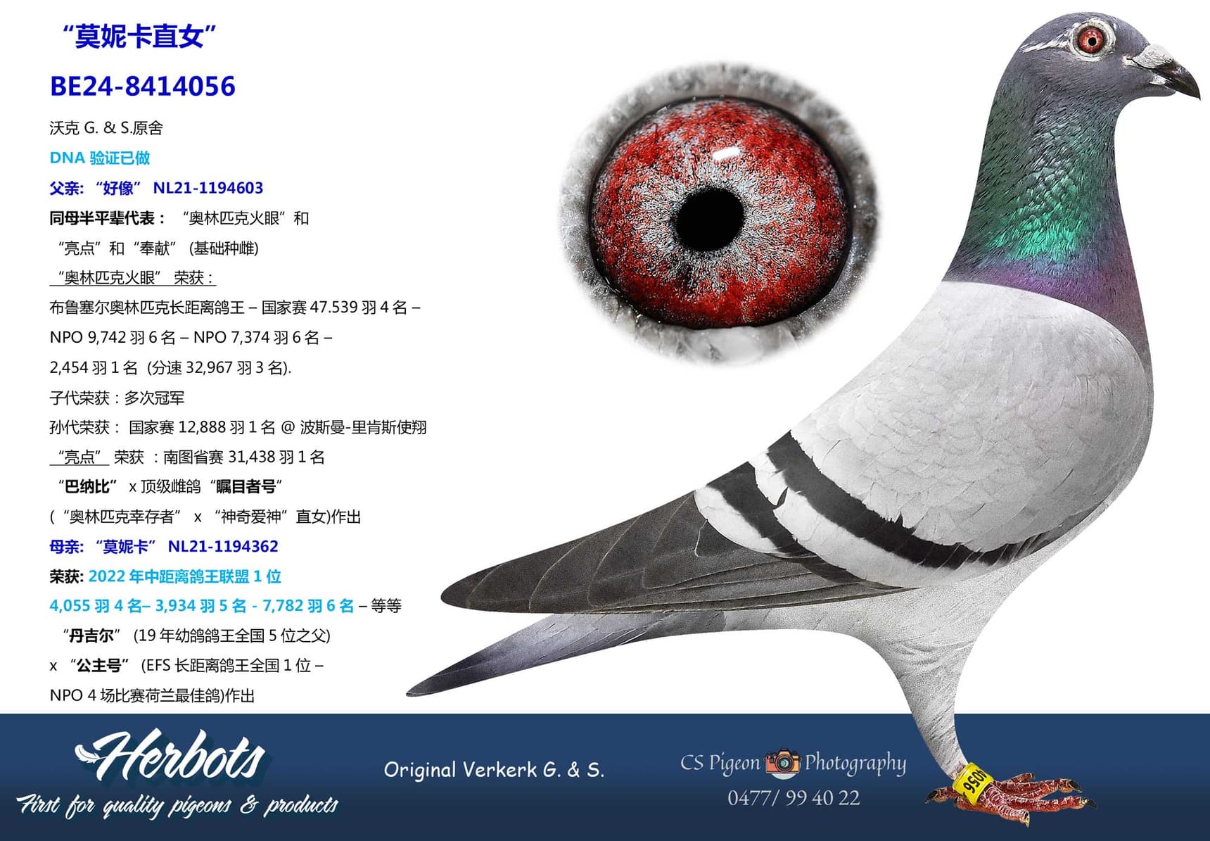 pigeon: undefined