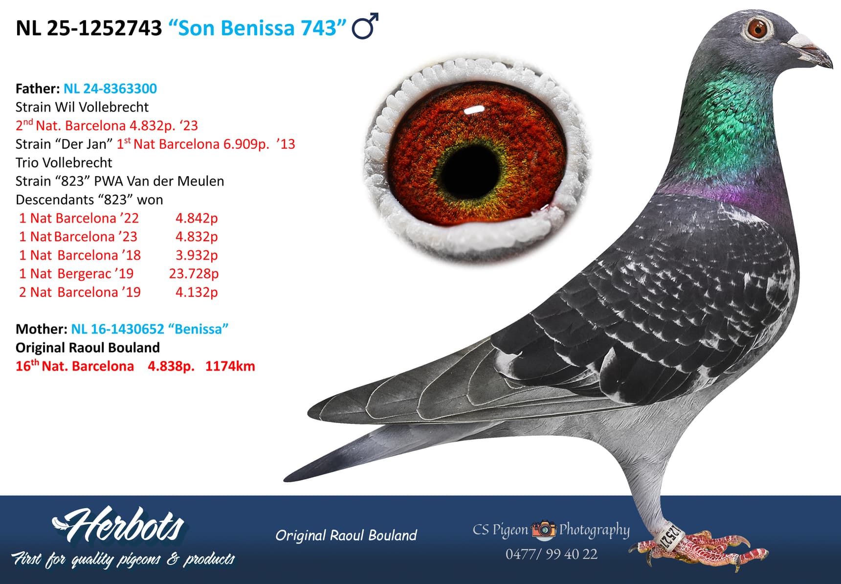 pigeon: undefined
