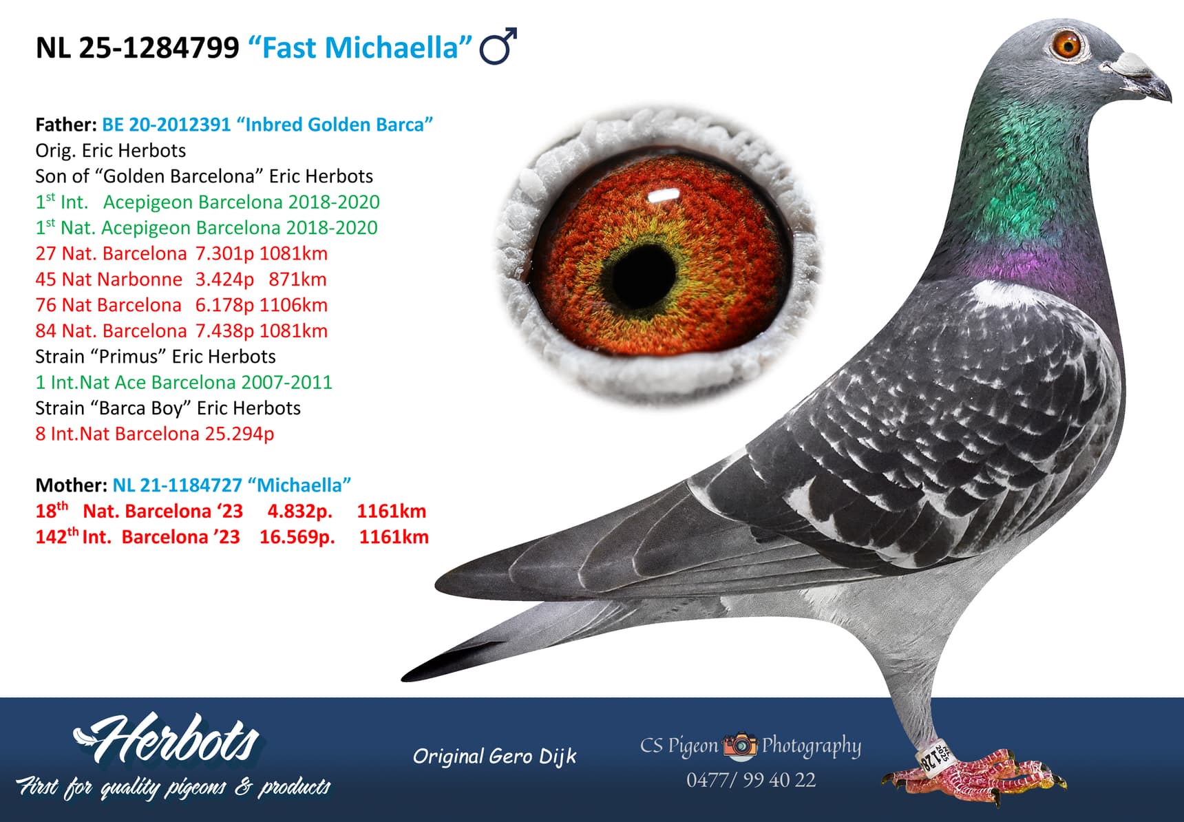 pigeon: undefined