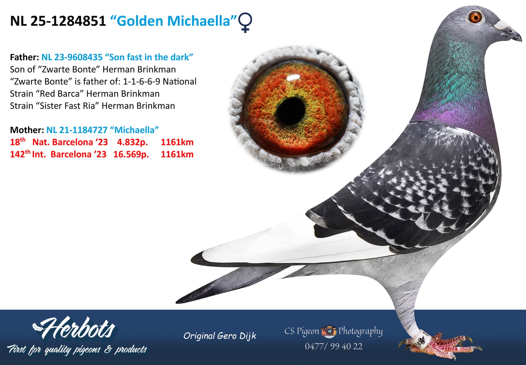 pigeon: undefined