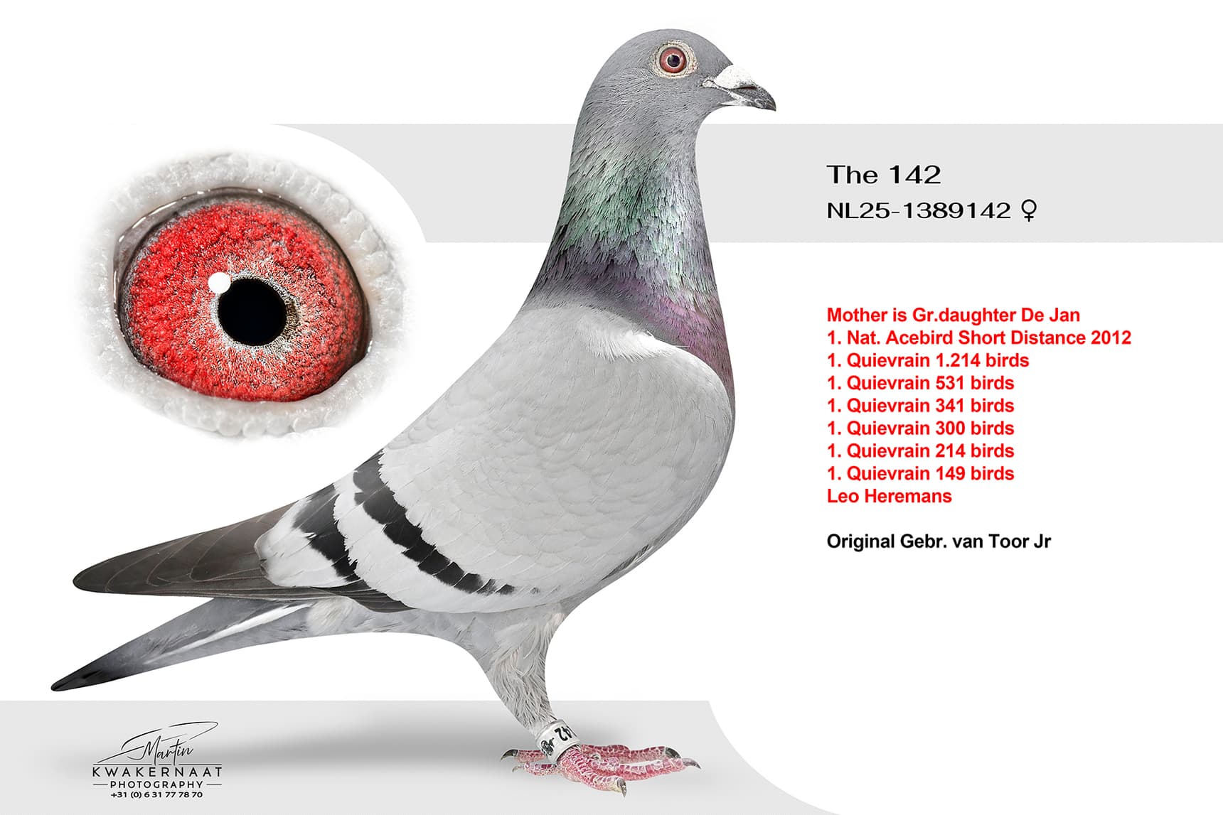 The 142