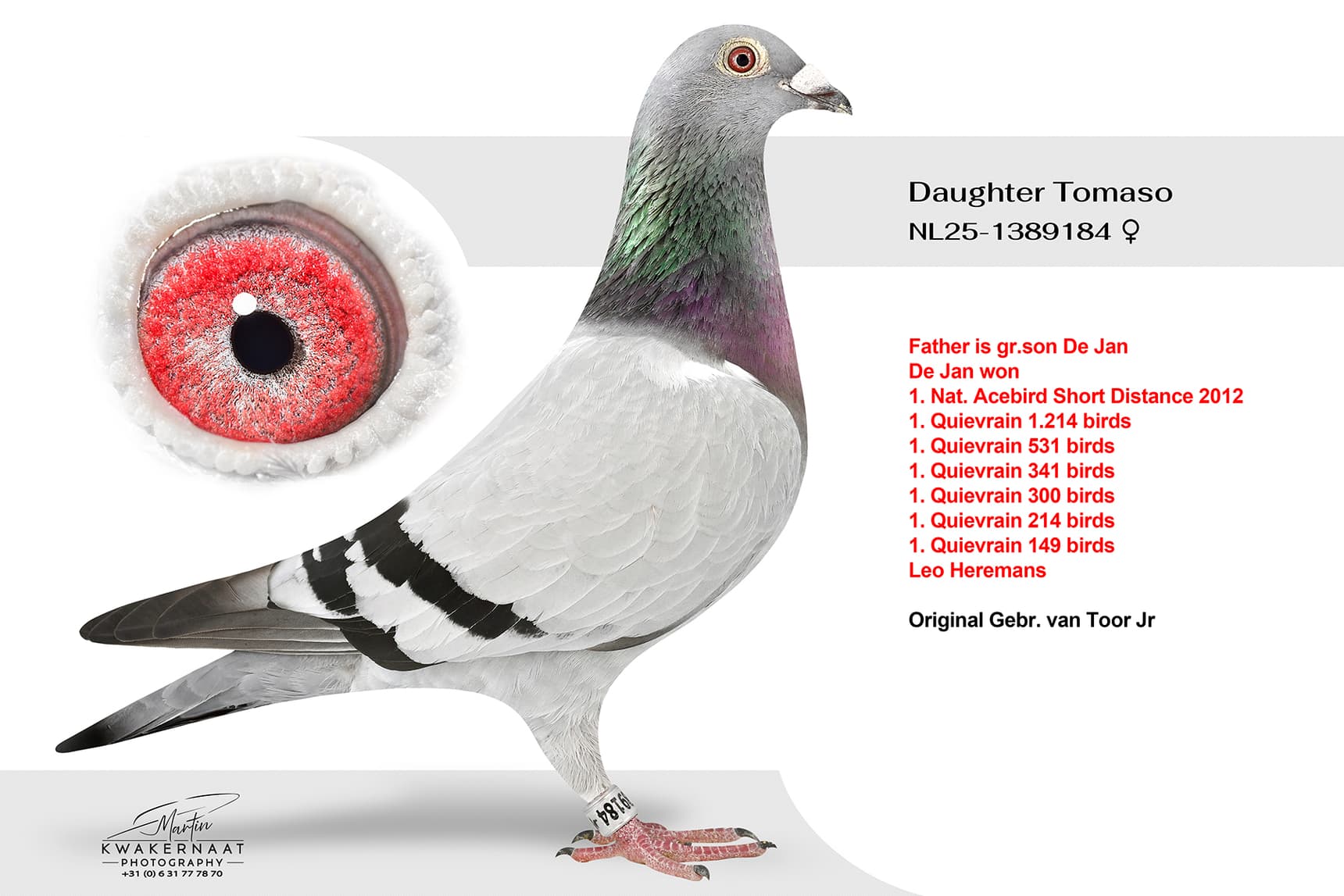 Daughter Tomaso