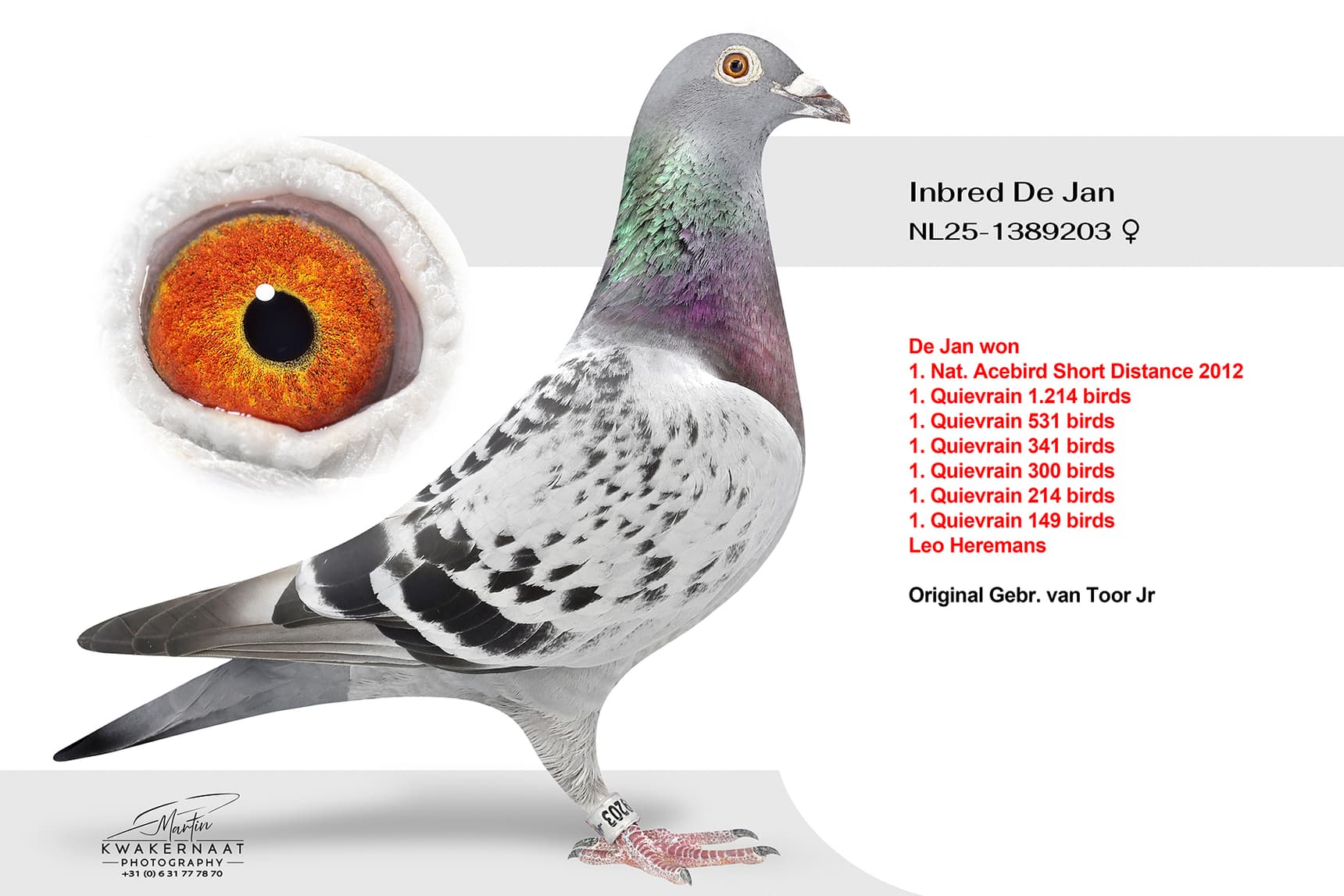 Inbred De Jan