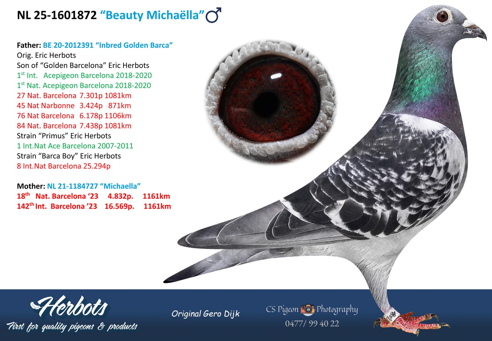 pigeon: undefined