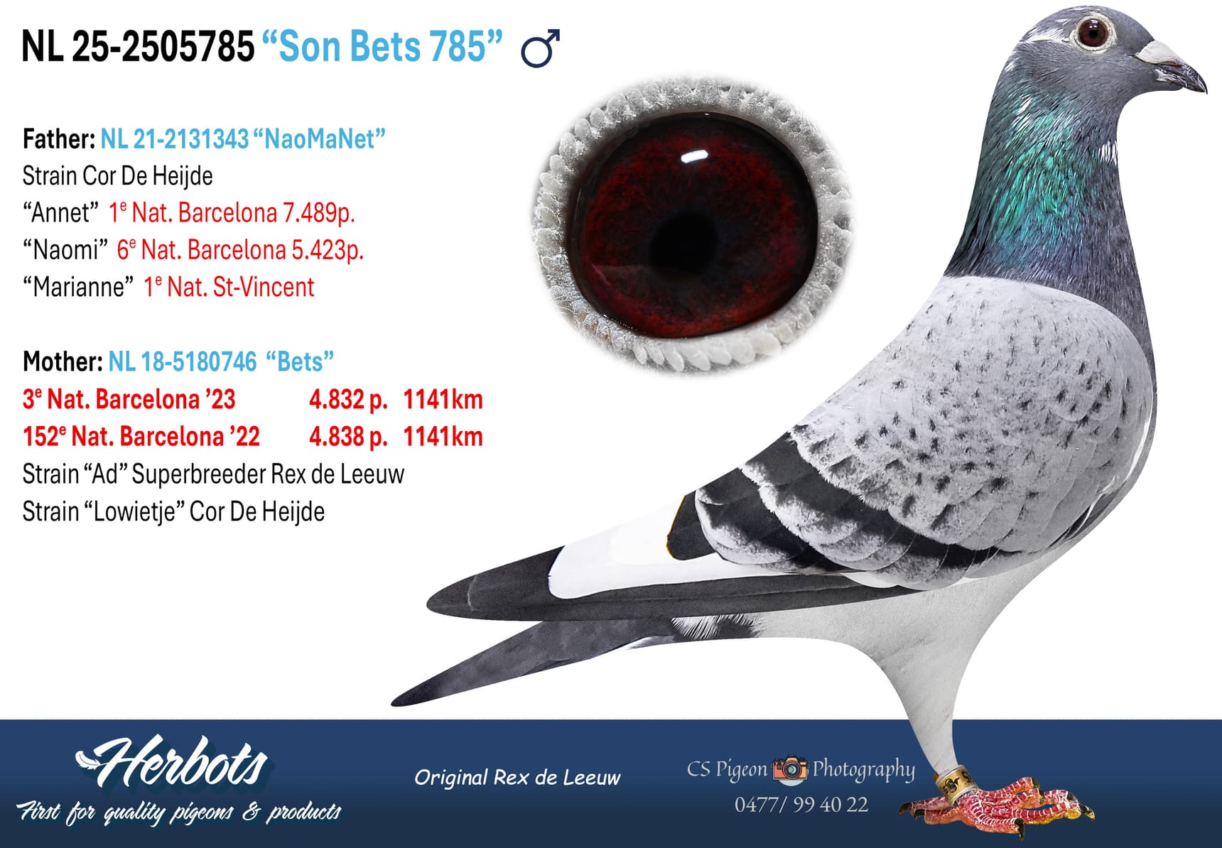 pigeon: undefined