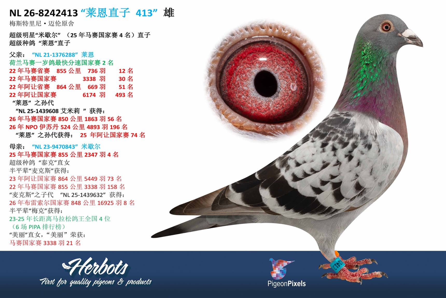 pigeon: undefined