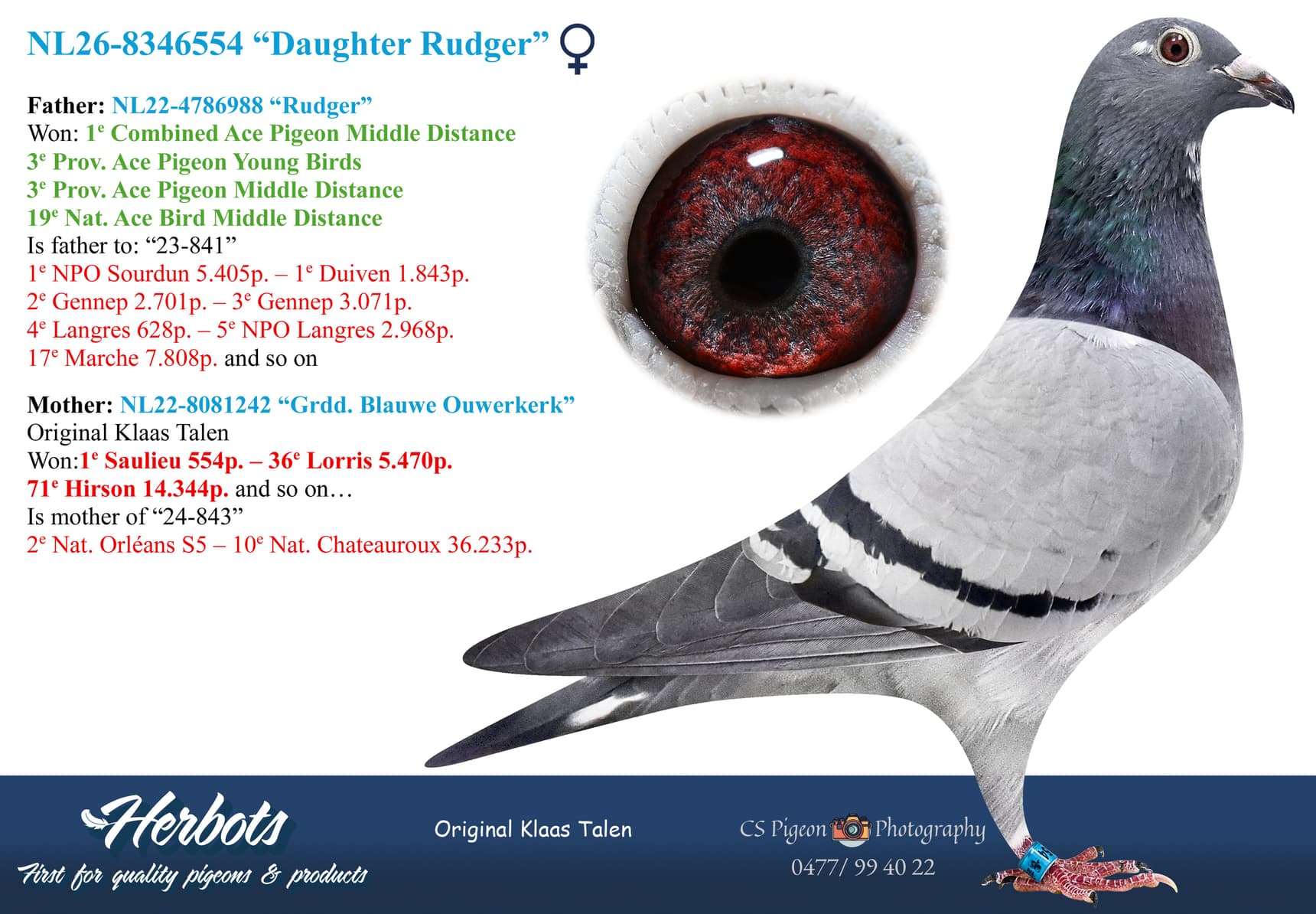 pigeon: undefined