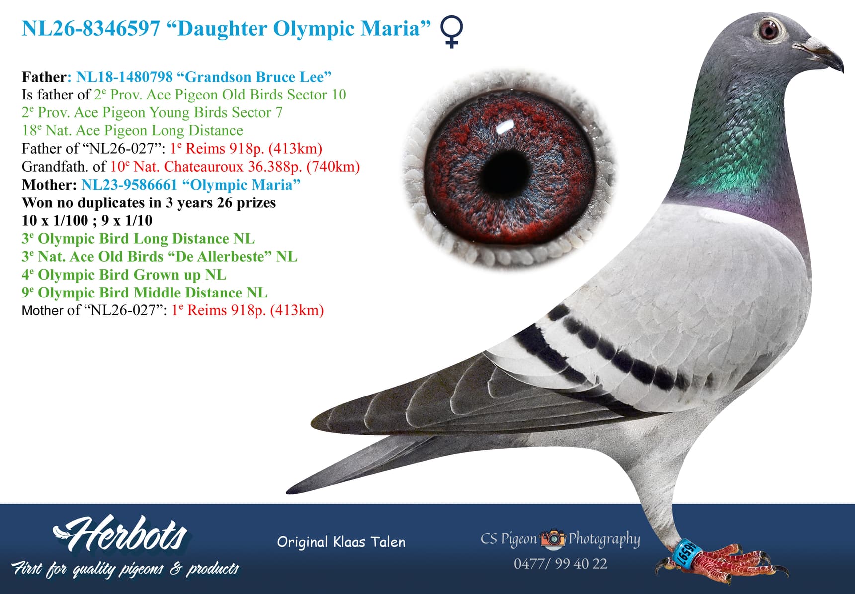 pigeon: undefined