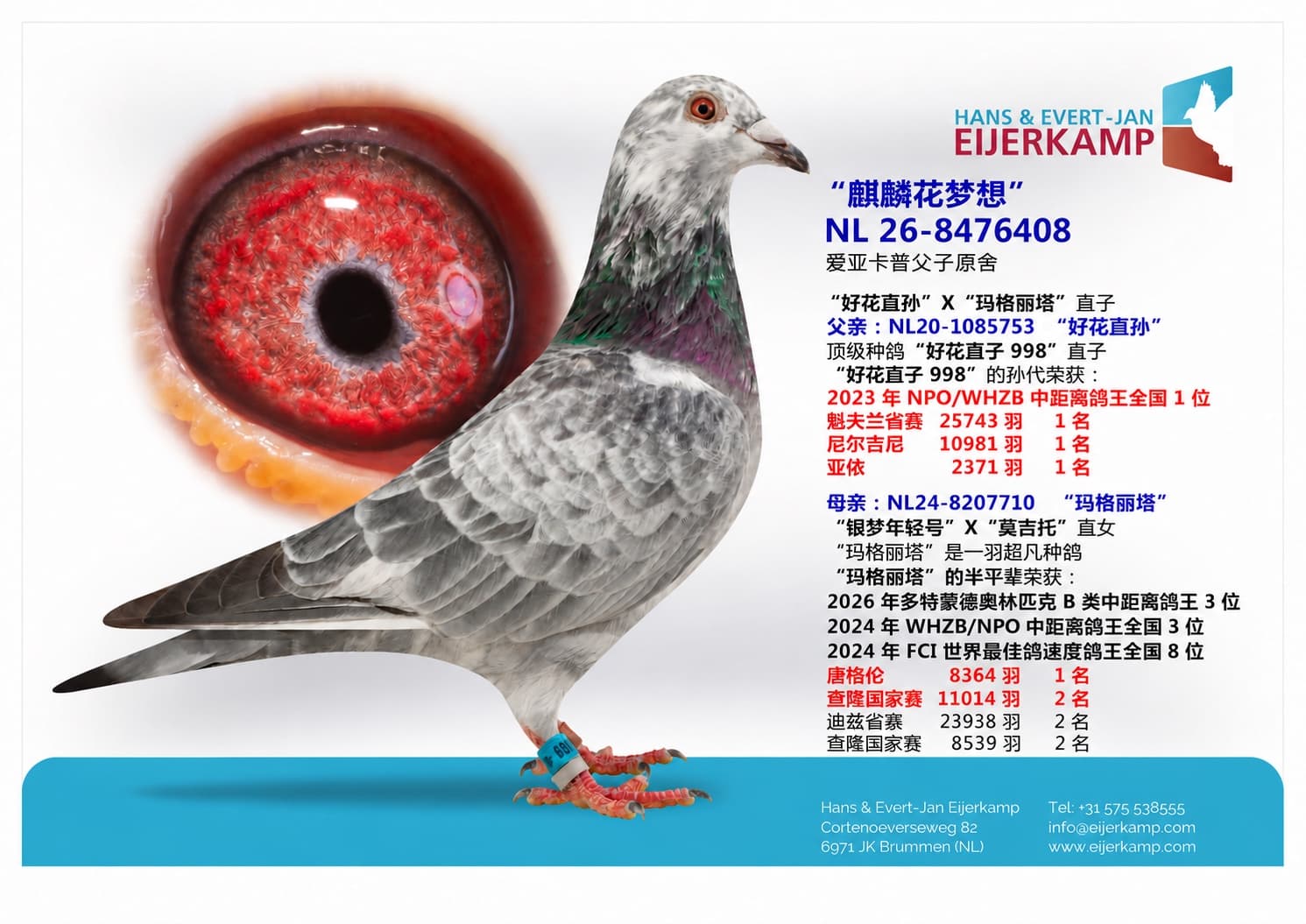 pigeon: undefined