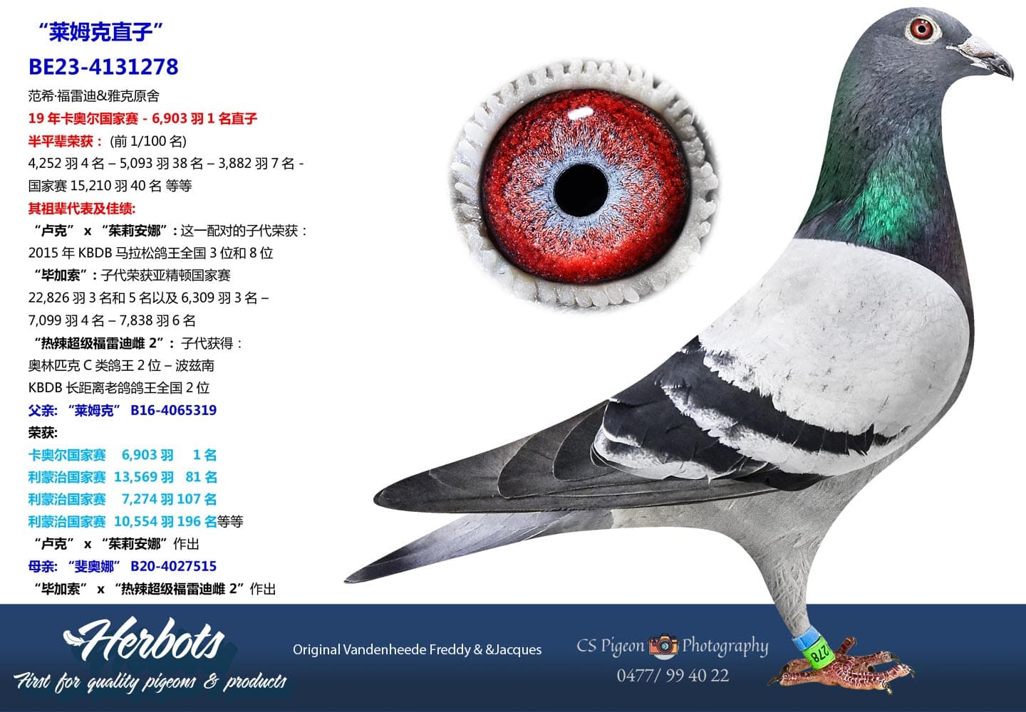 pigeon: undefined
