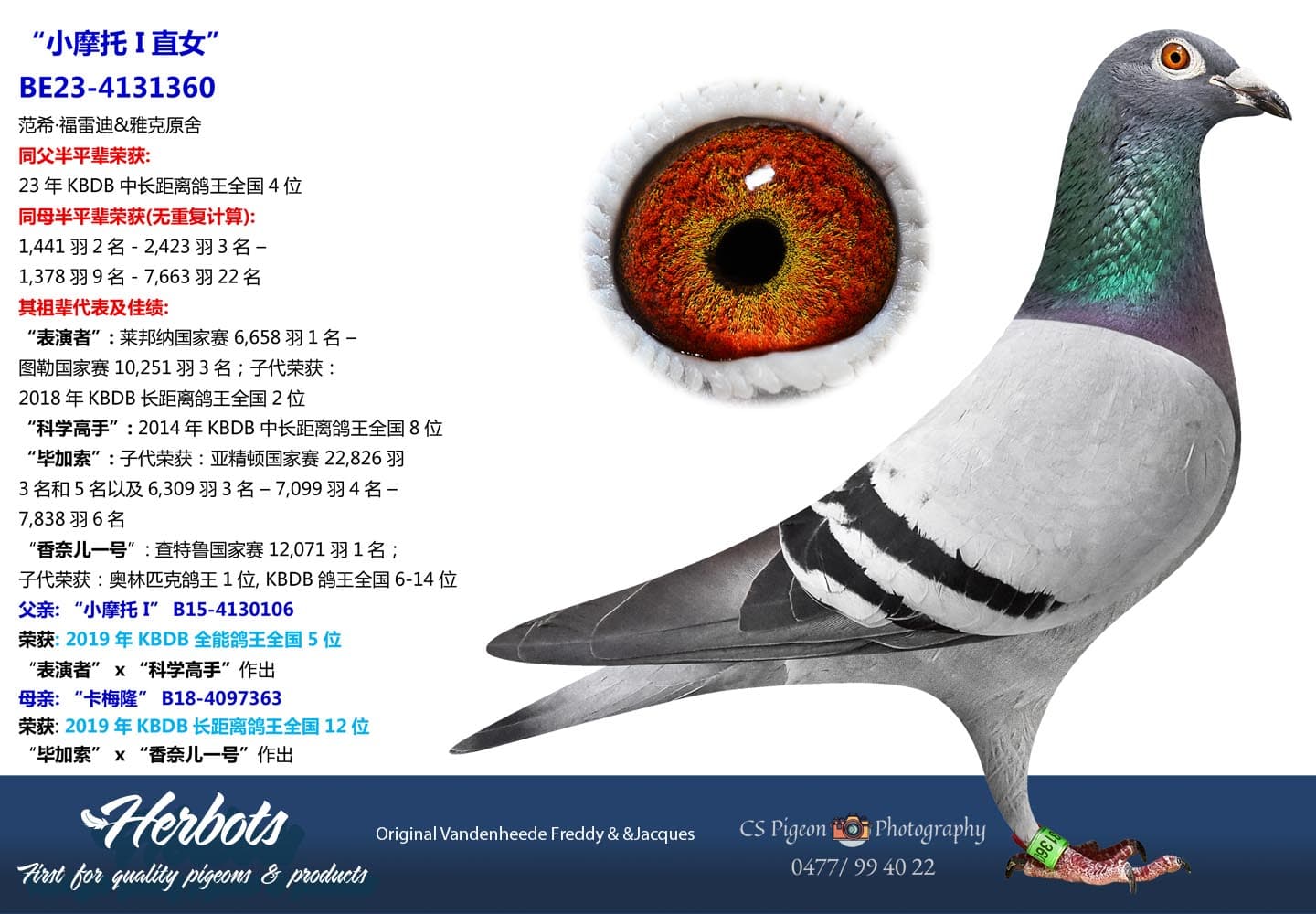 pigeon: undefined