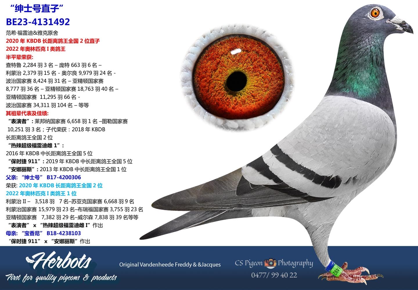 pigeon: undefined