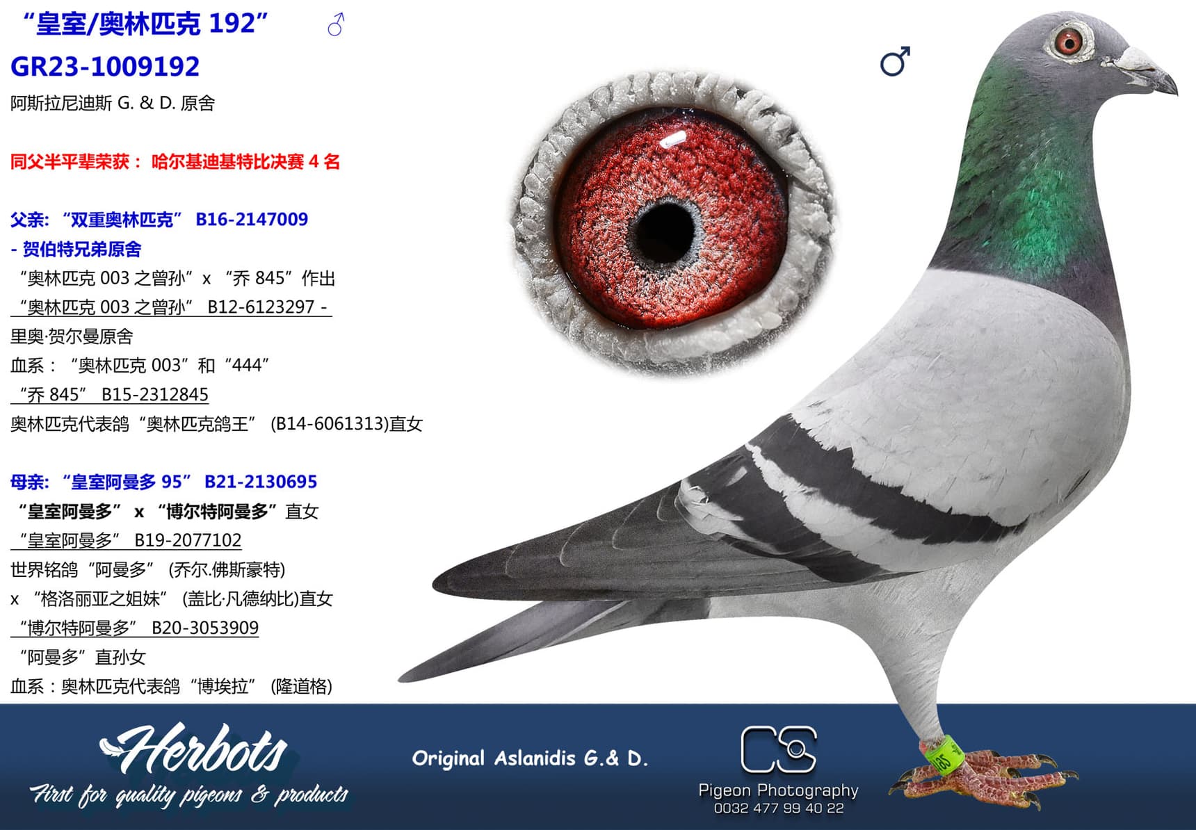 pigeon: undefined